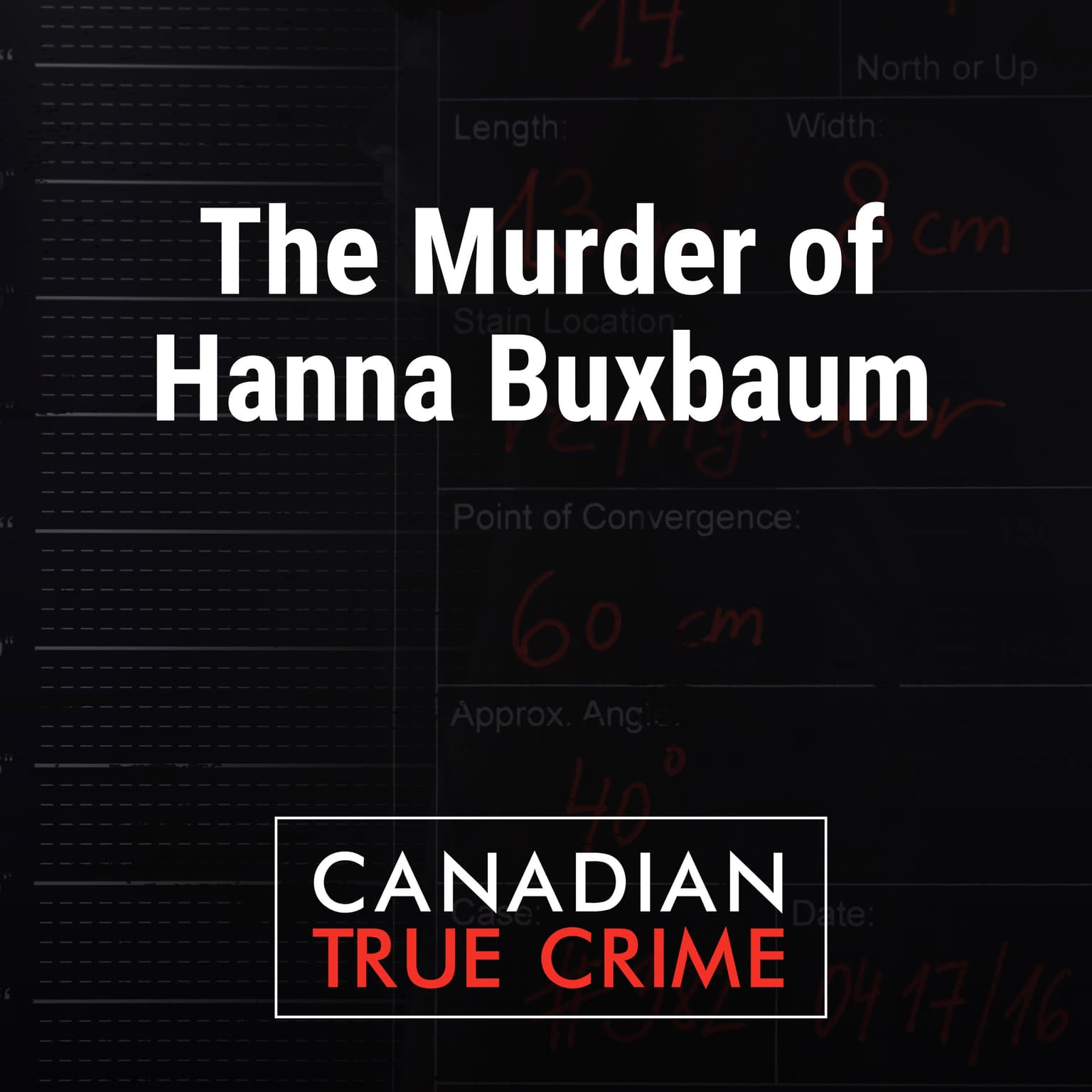 The Murder of Hanna Buxbaum artwork