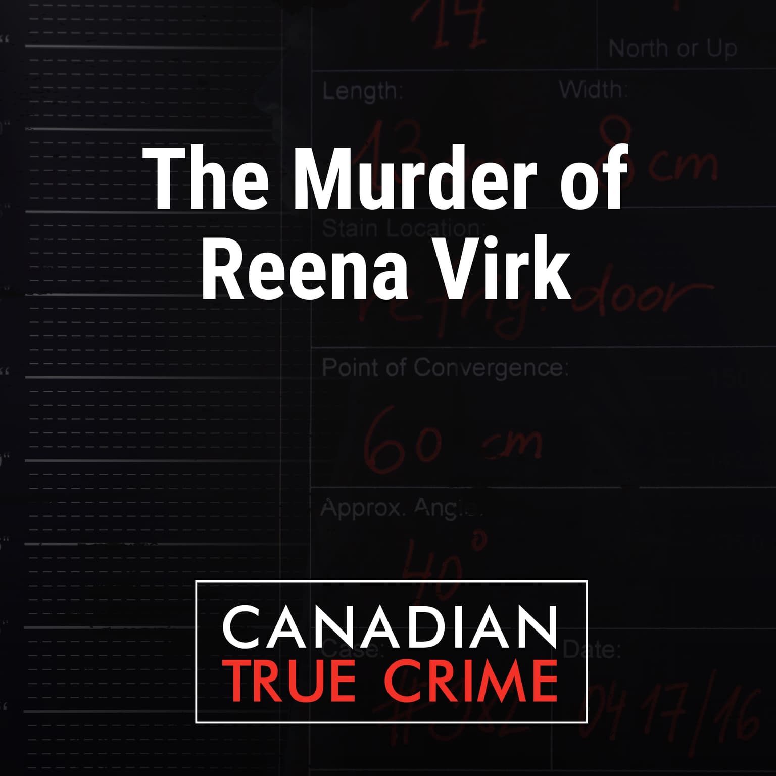 The Murder of Reena Virk artwork
