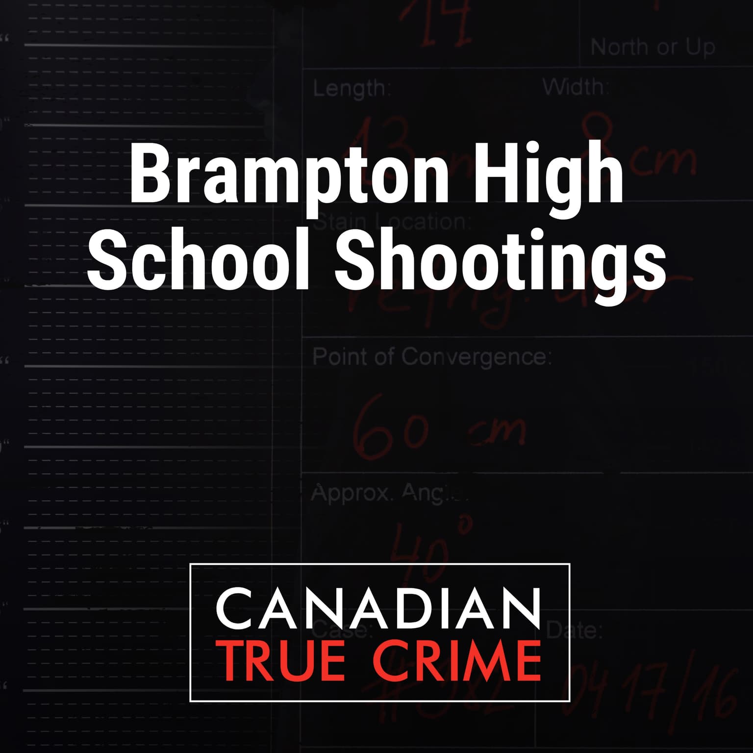 Brampton High School Shootings artwork