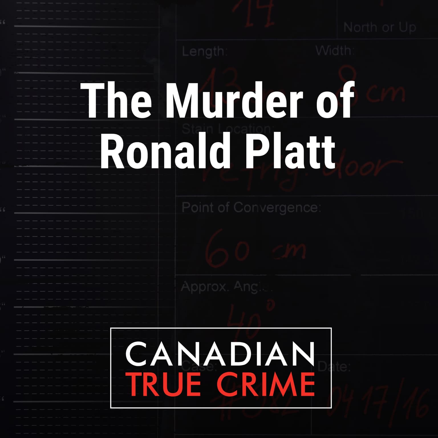 The Murder of Ronald Platt artwork