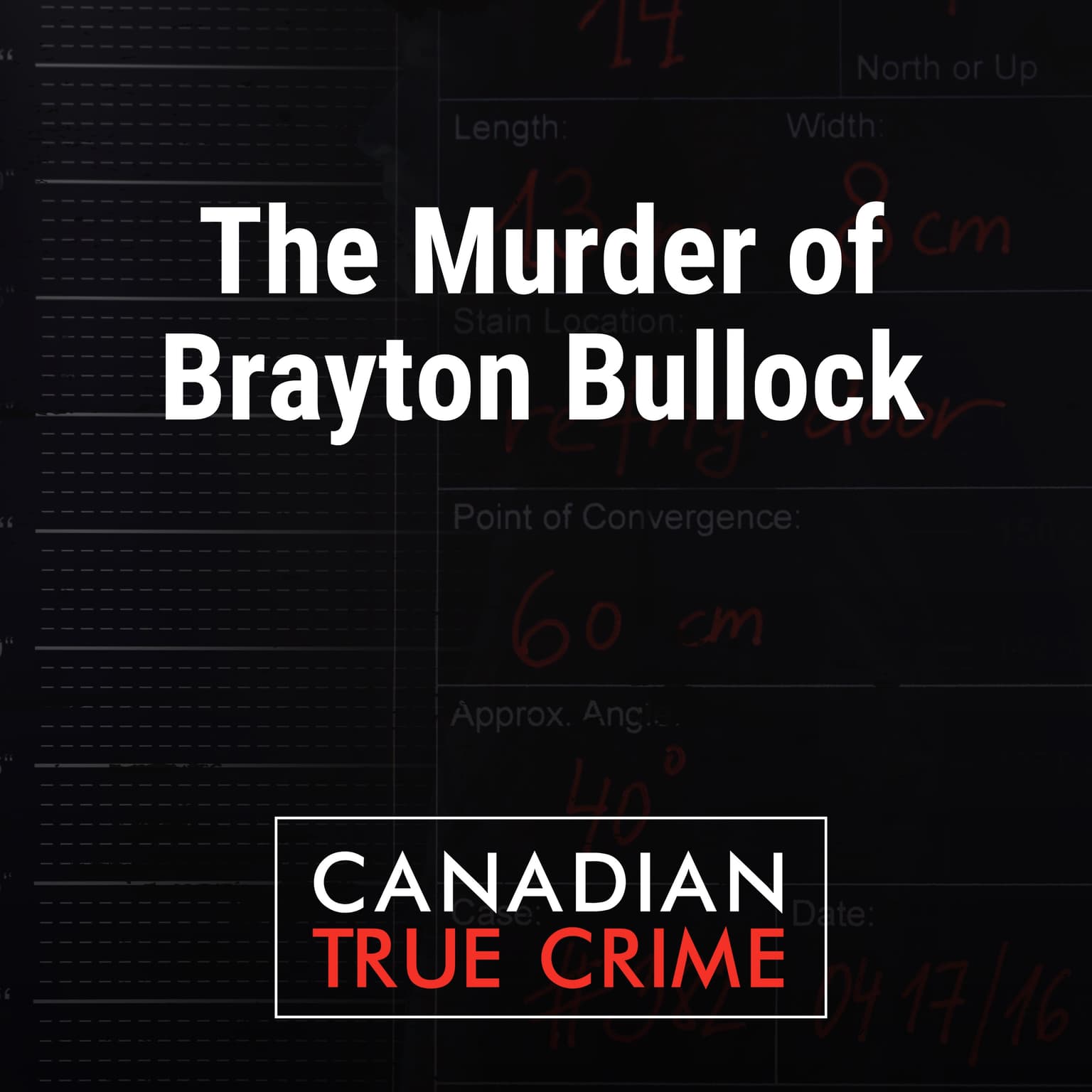 The Murder of Brayton Bullock artwork