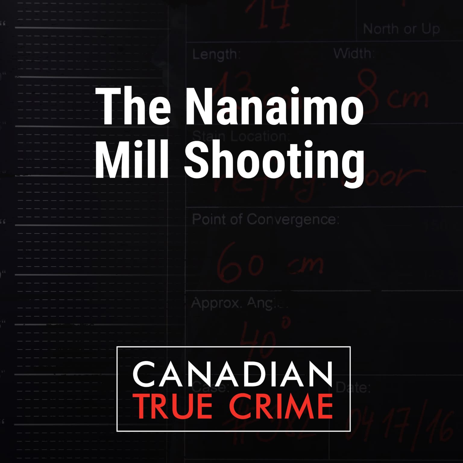 The Nanaimo Mill Shooting artwork