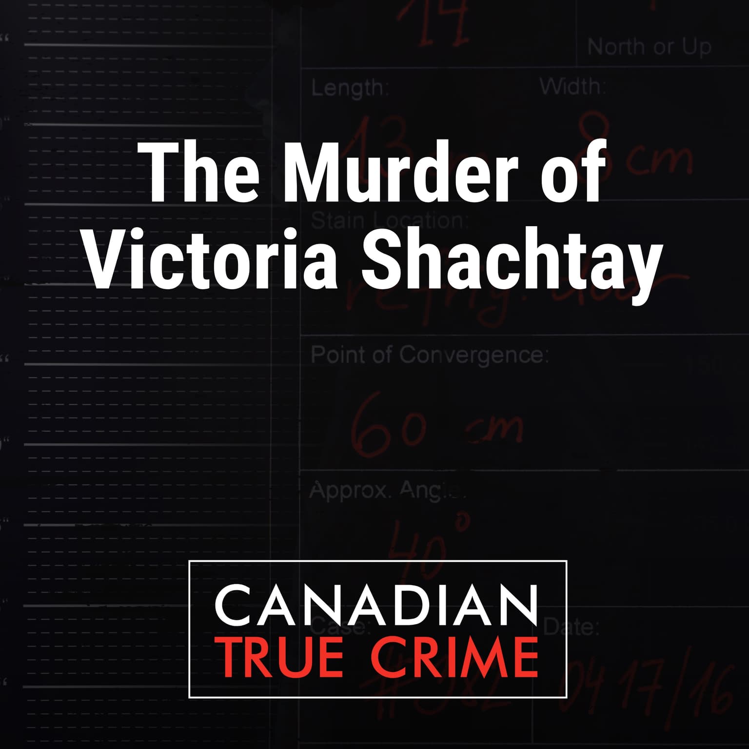 The Murder of Victoria Shachtay artwork