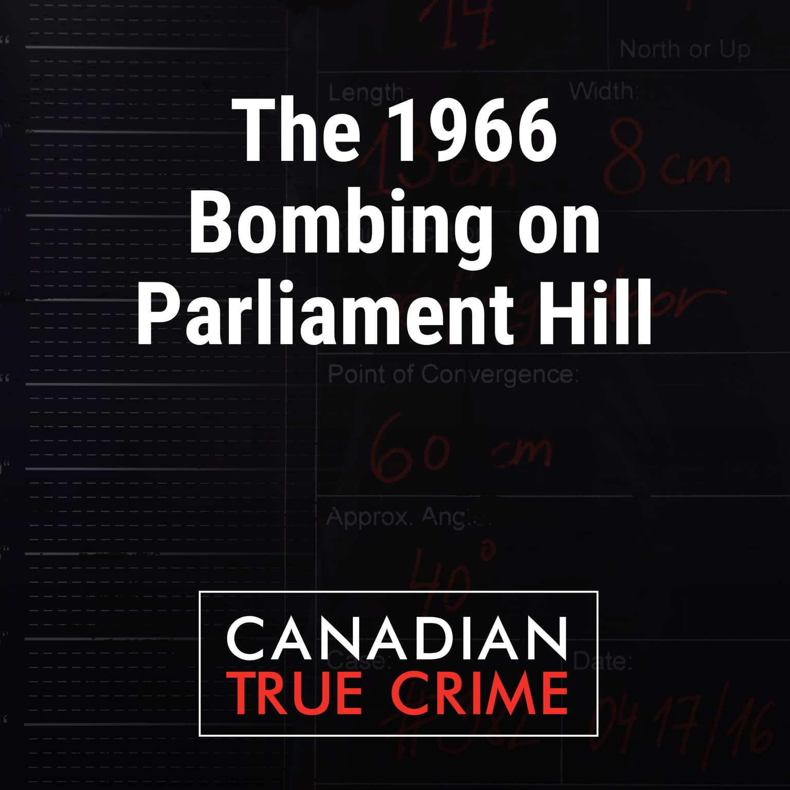 The 1966 Bombing on Parliament Hill artwork