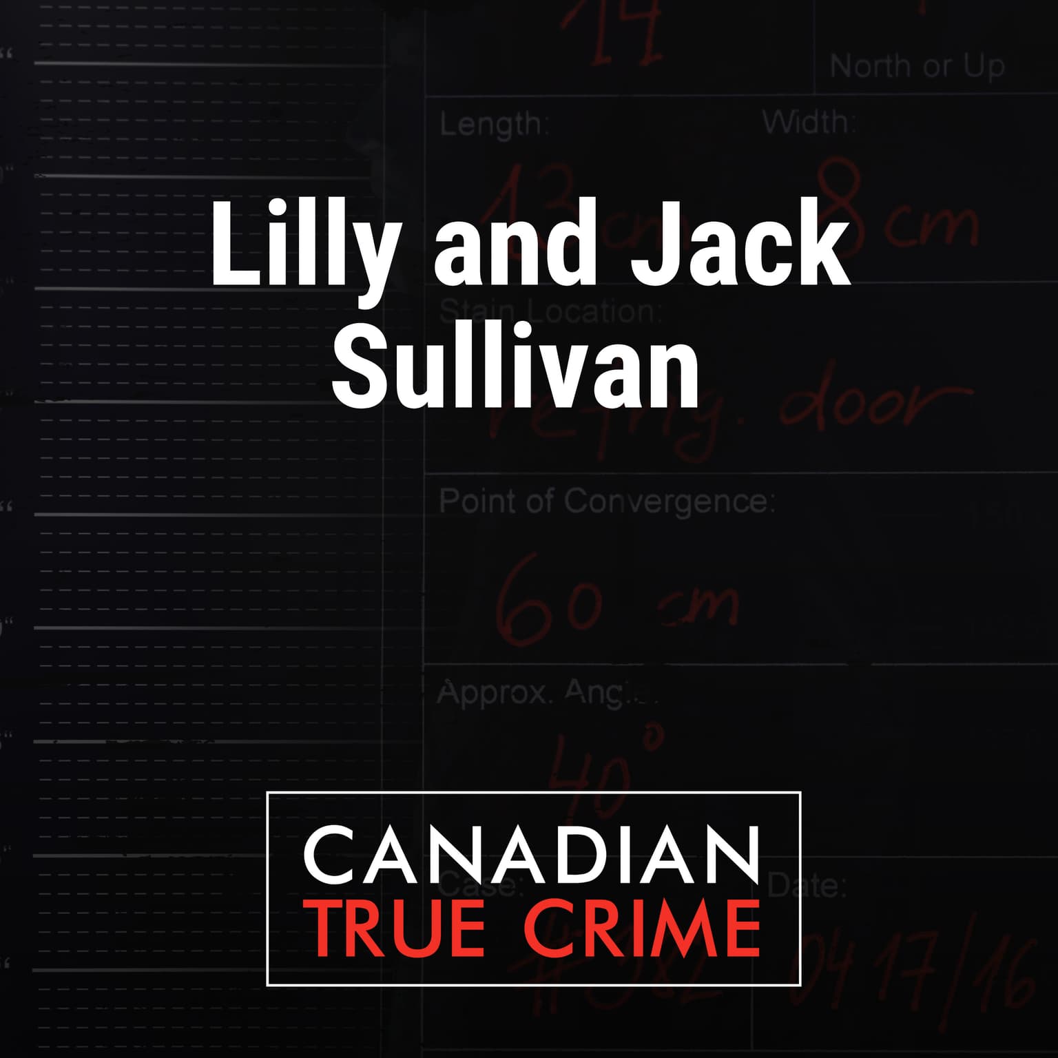Lilly and Jack Sullivan: Cutting through the noise artwork