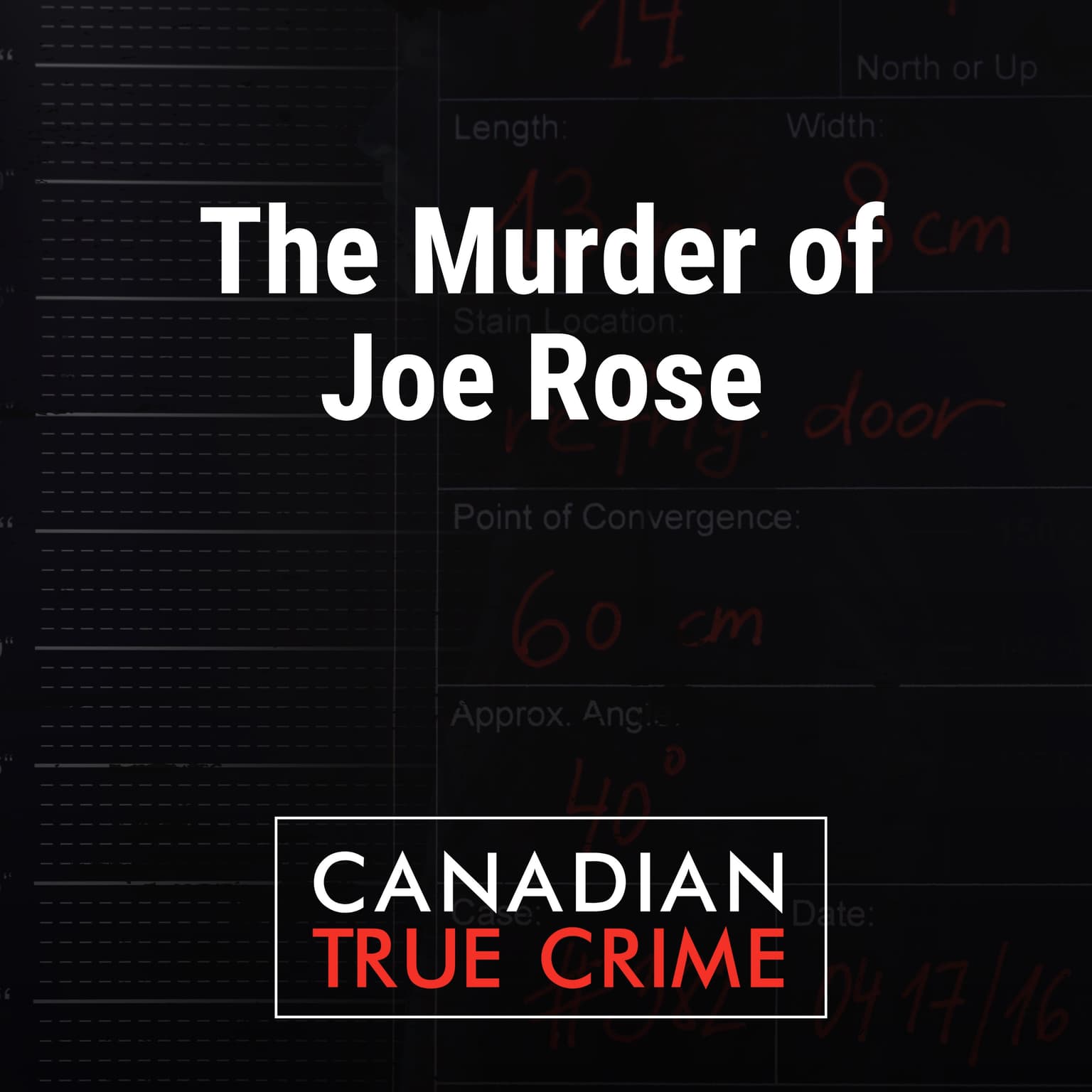 The Murder of Joe Rose artwork