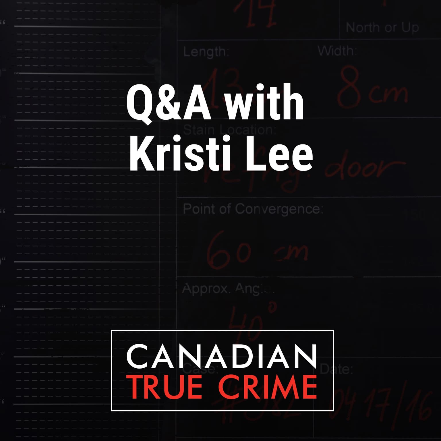 Q&A with Kristi Lee artwork