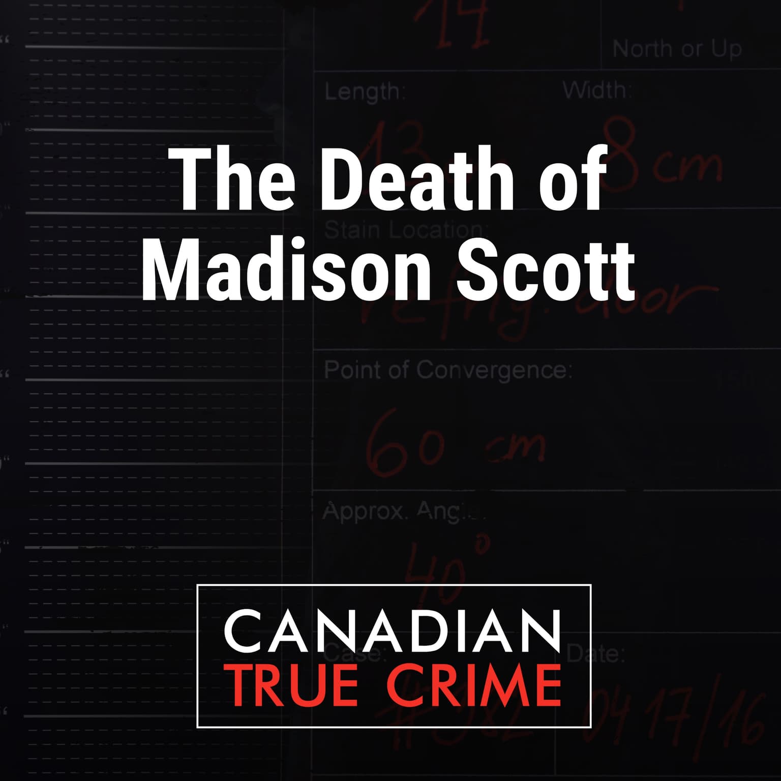 The Death of Madison Scott artwork