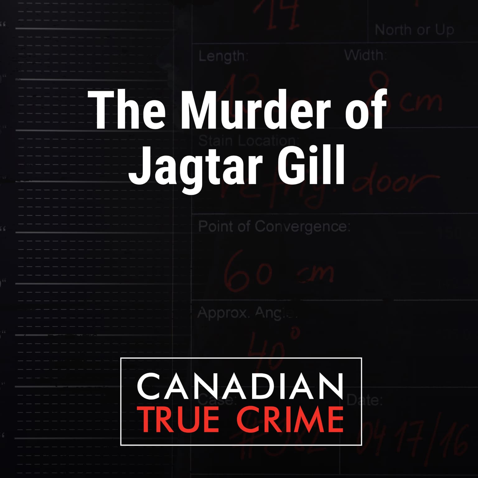 The Murder of Jagtar Gill artwork
