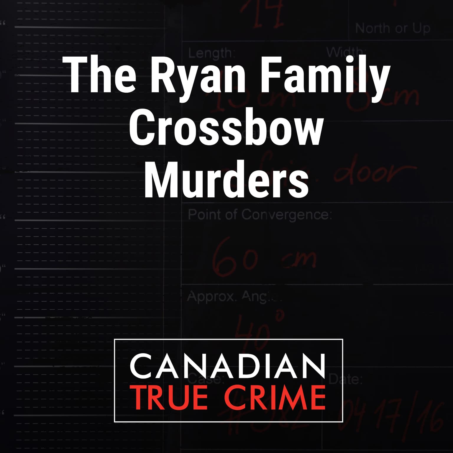 The Ryan Family Crossbow Murders artwork
