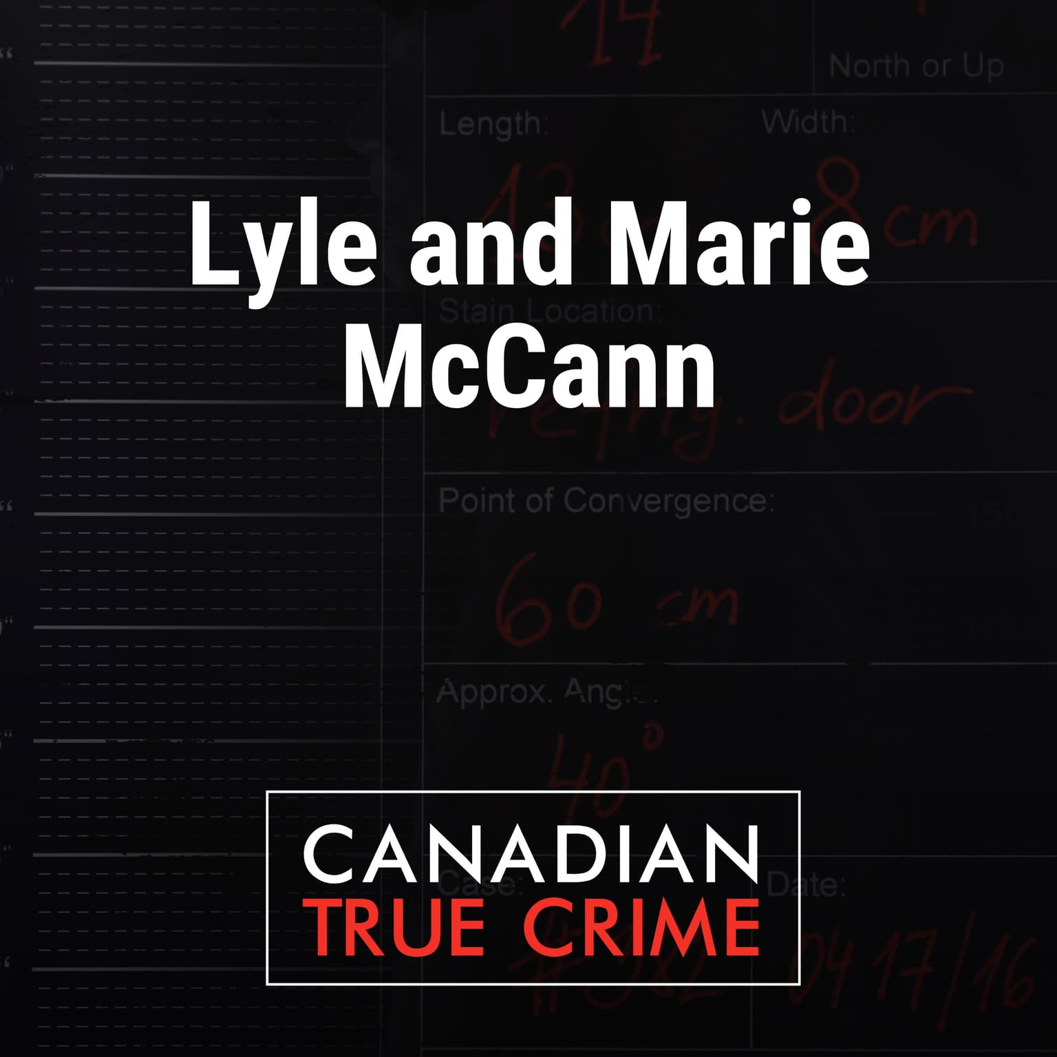 The Murder of Lyle and Marie McCann artwork