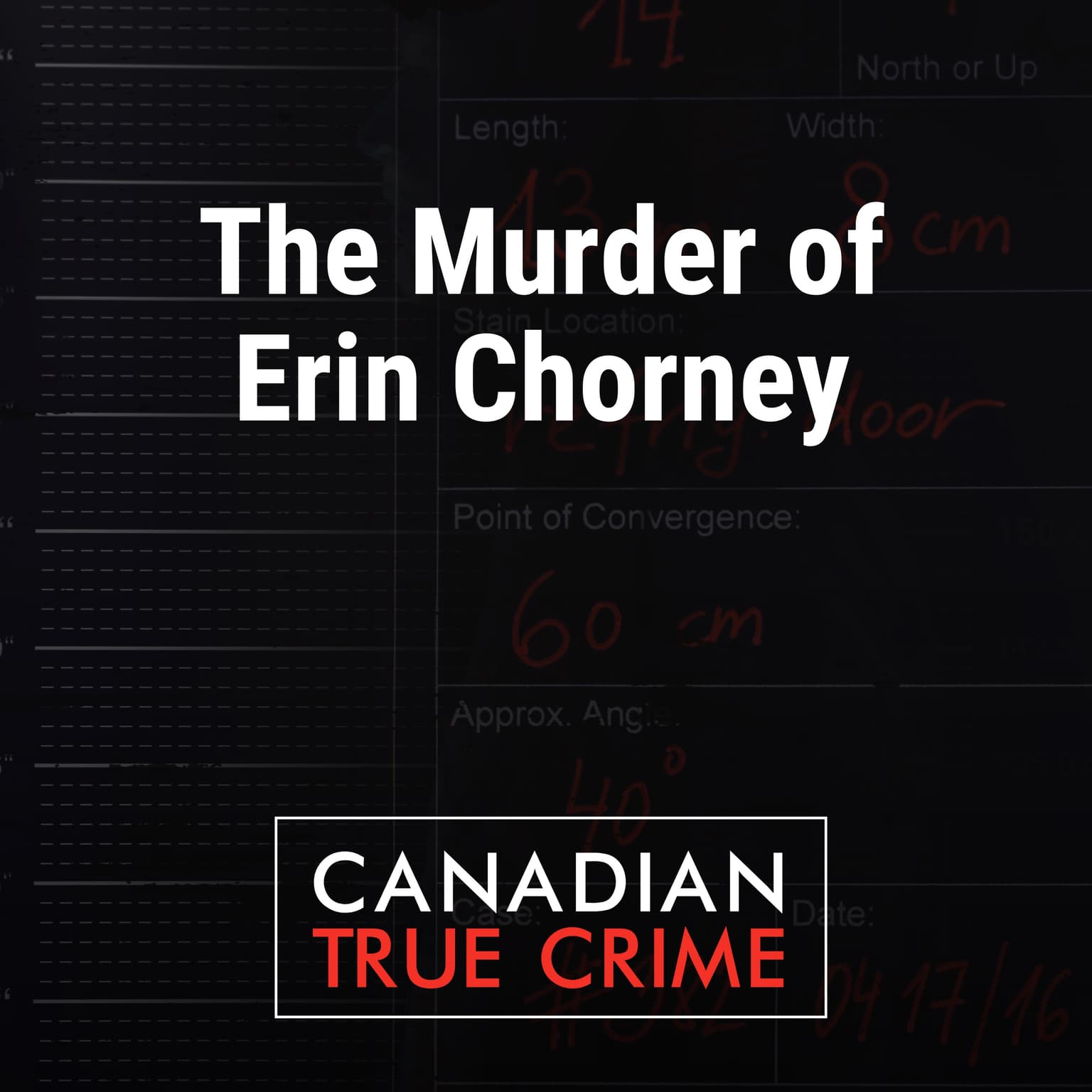 The Murder of Erin Chorney artwork