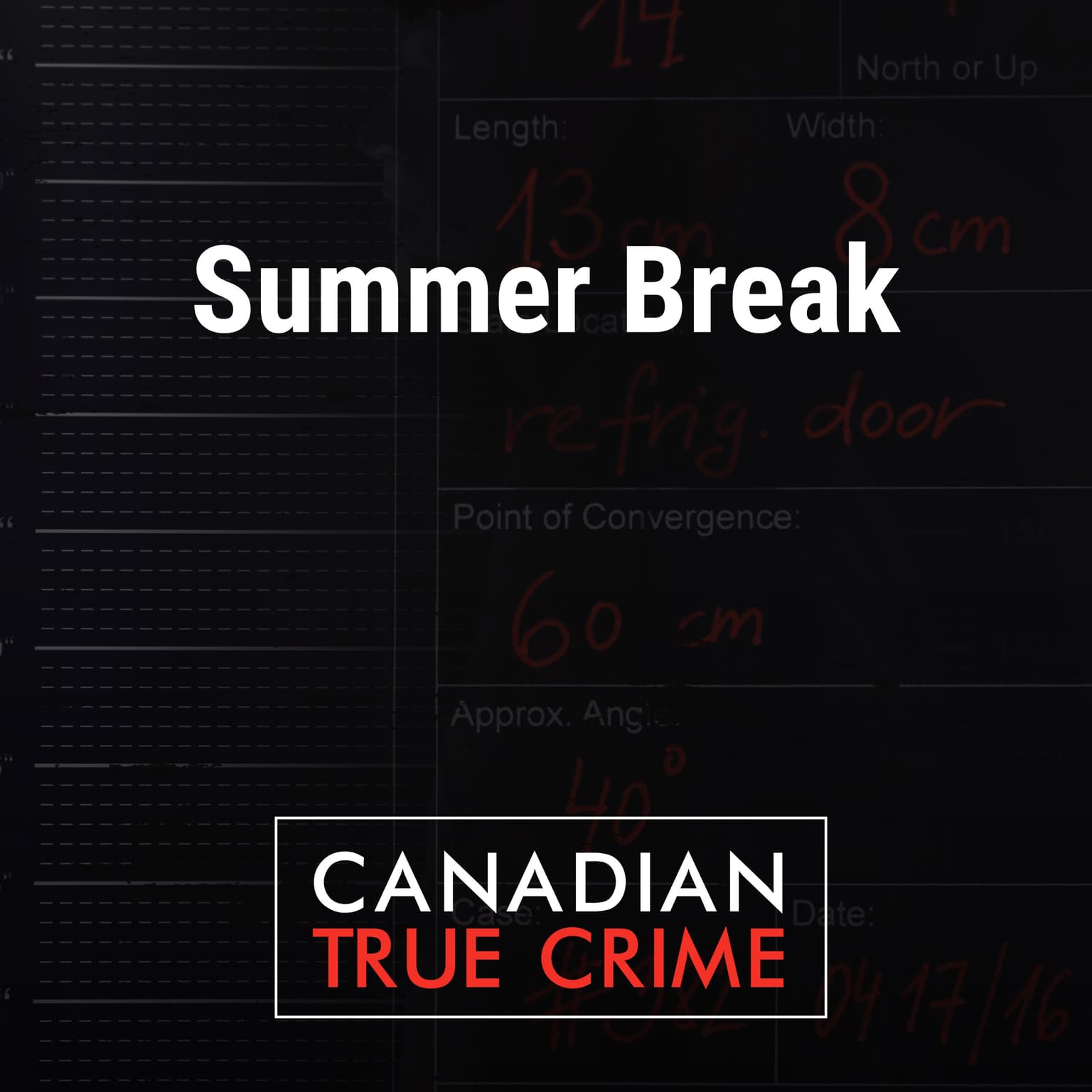 Summer Break artwork