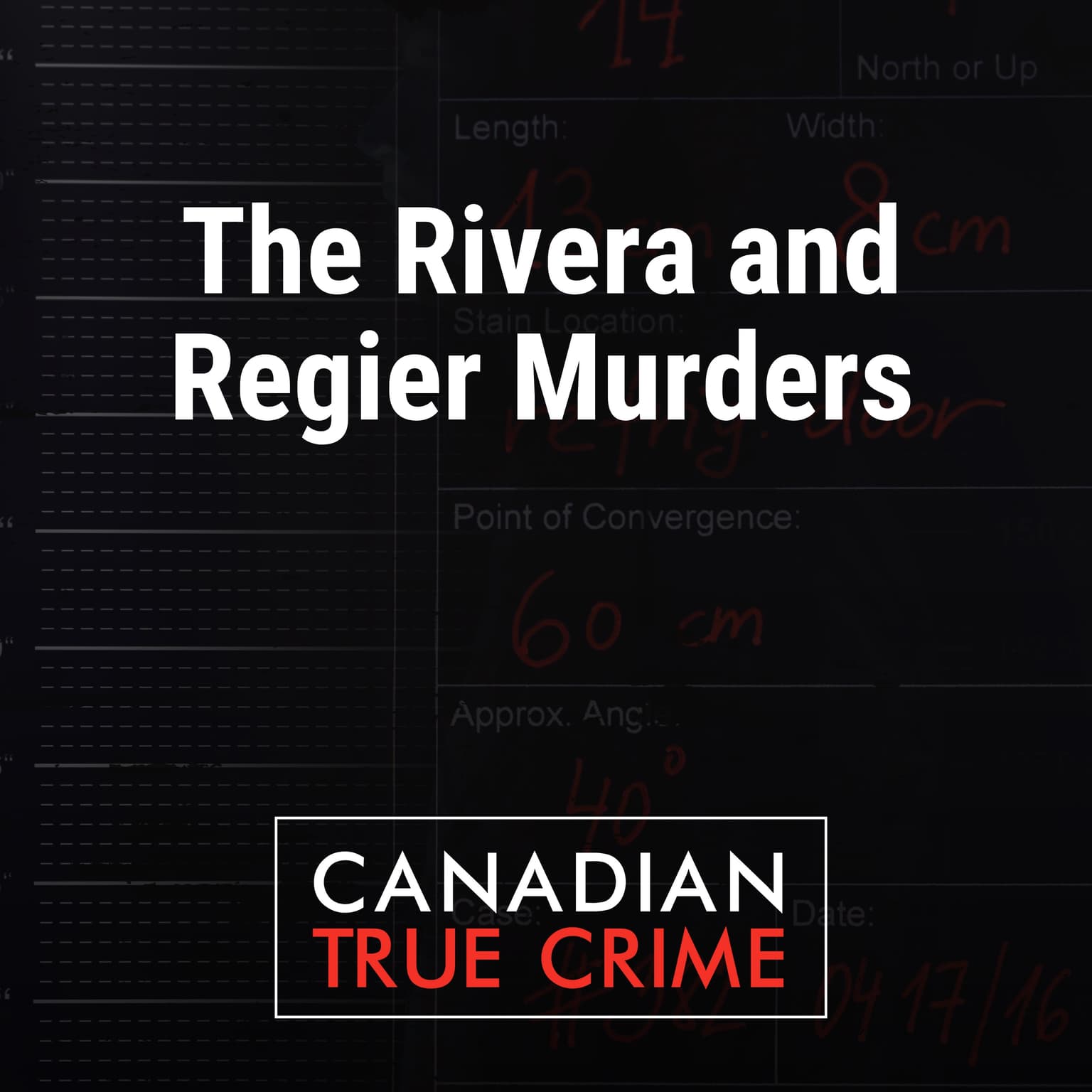 The Rivera and Regier Murders artwork