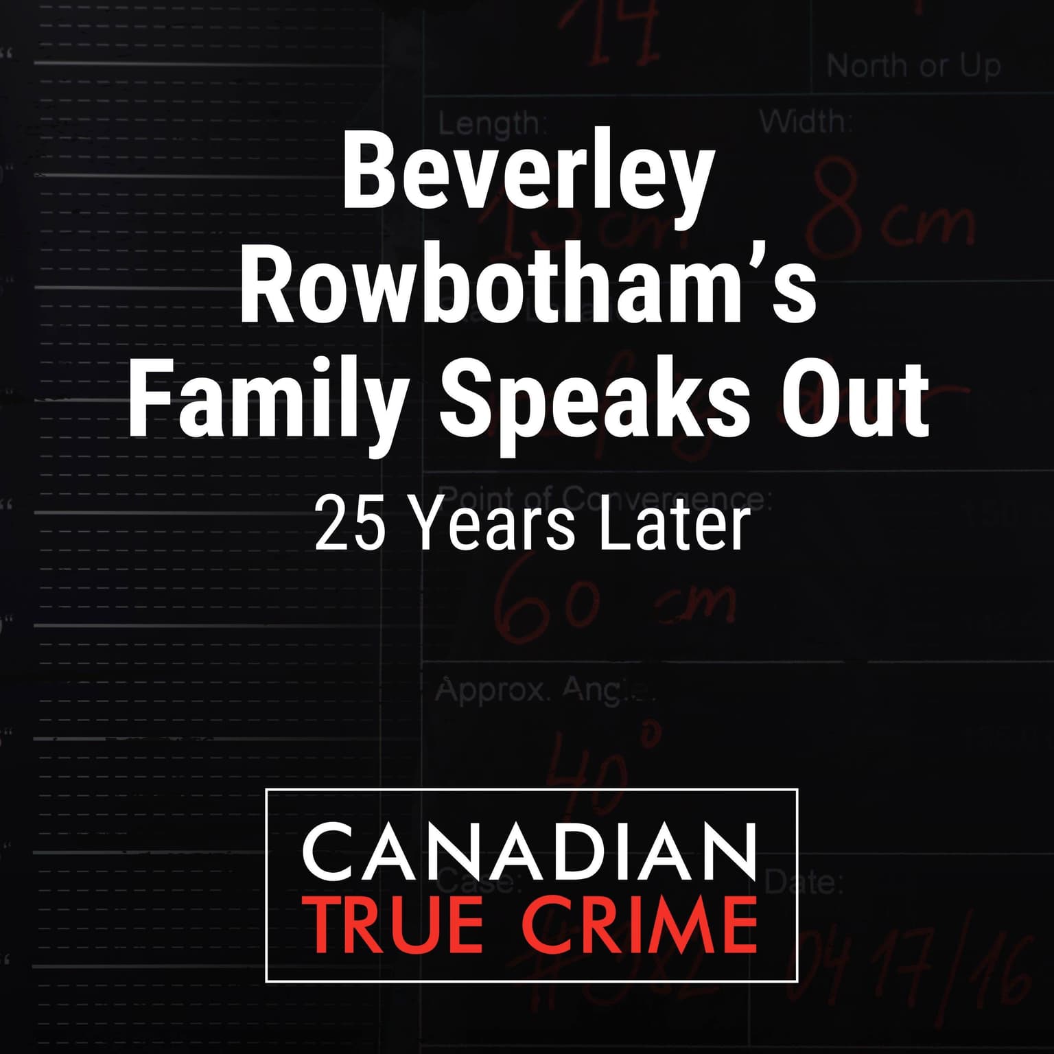 Beverley Rowbotham's Family Speaks Out: 25 Years Later artwork
