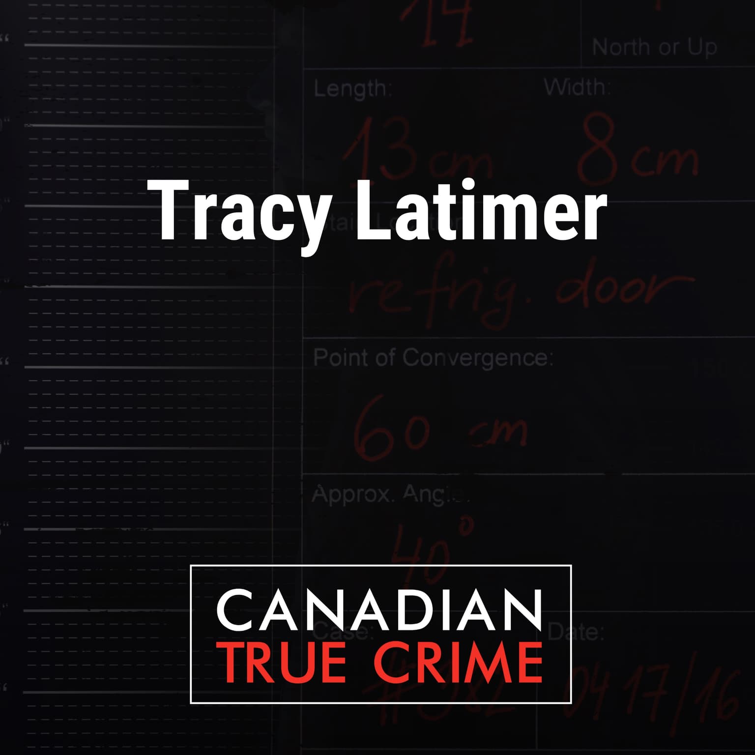 Tracy Latimer artwork