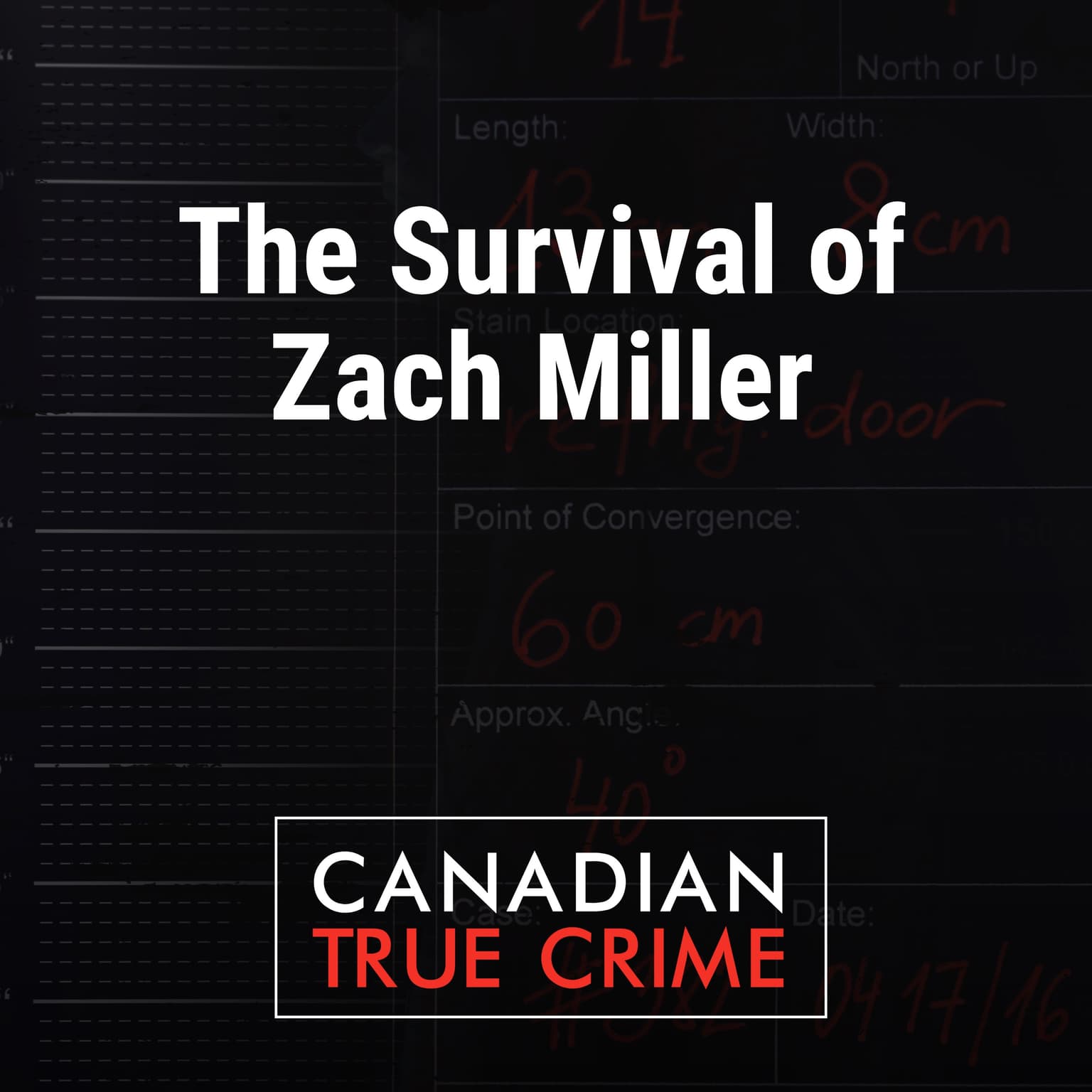 The Survival of Zach Miller artwork