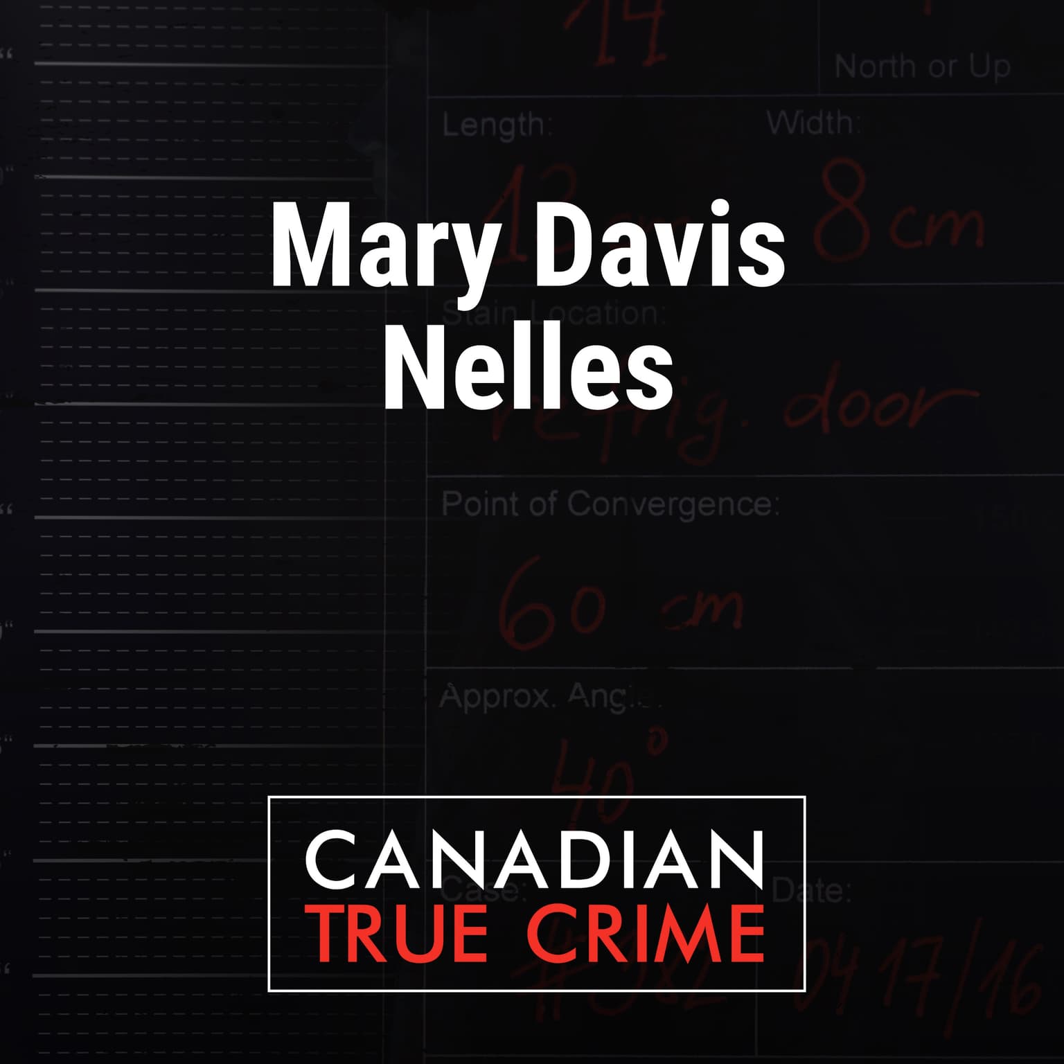 Mary Davis Nelles artwork