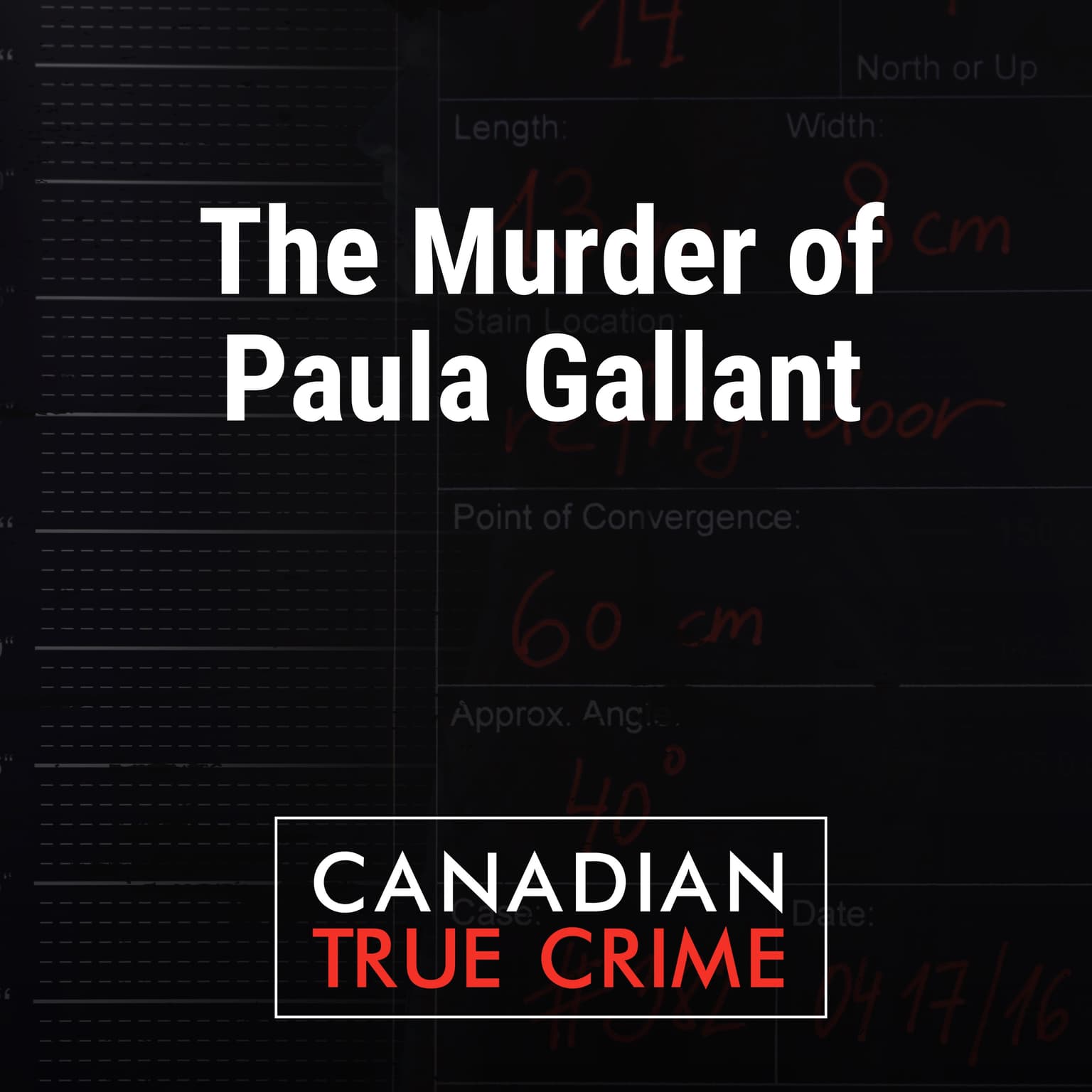 The Murder of Paula Gallant artwork