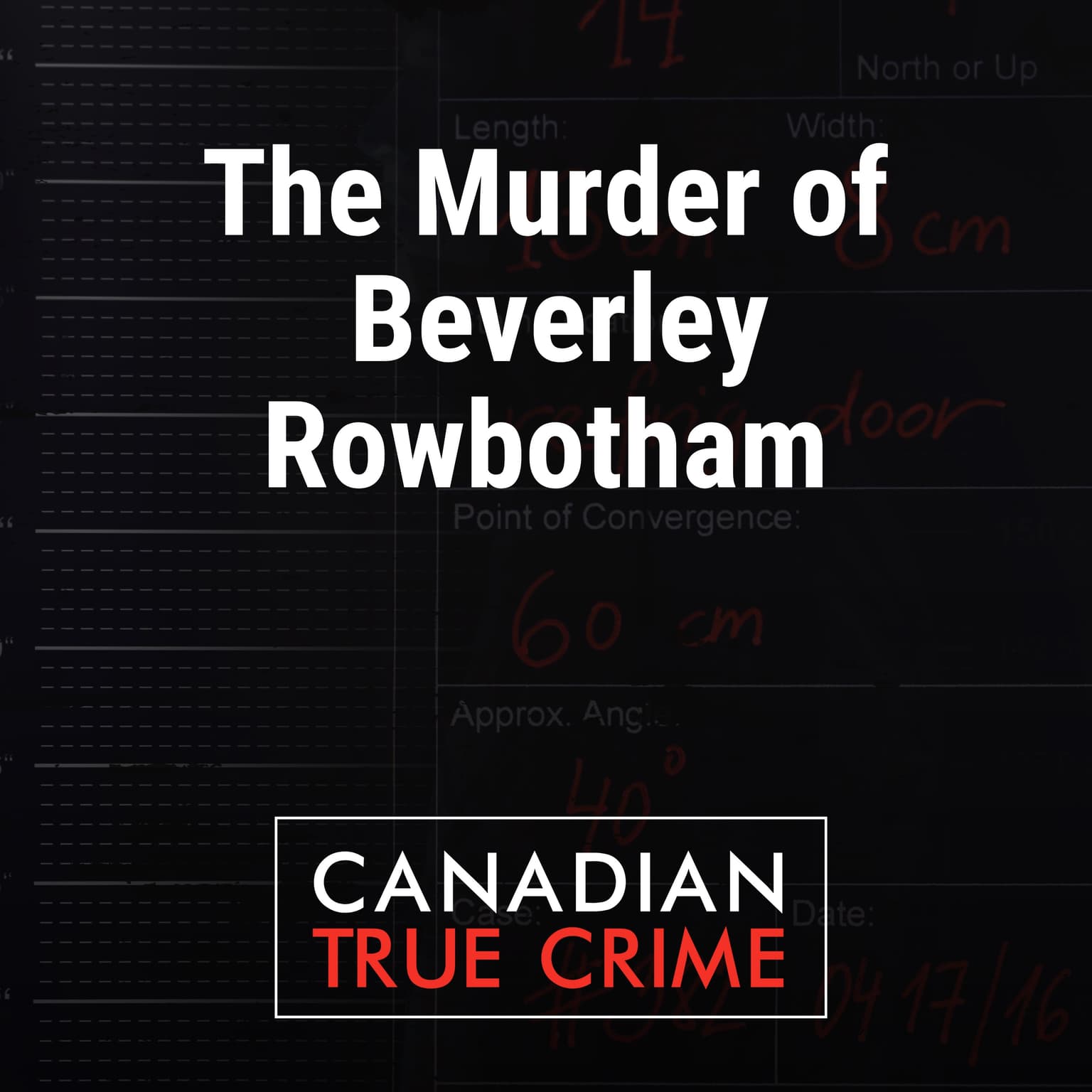 The Murder of Beverley Rowbotham artwork