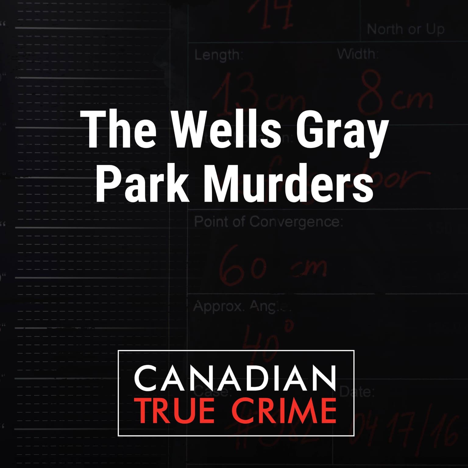 The Wells Gray Park Murders artwork