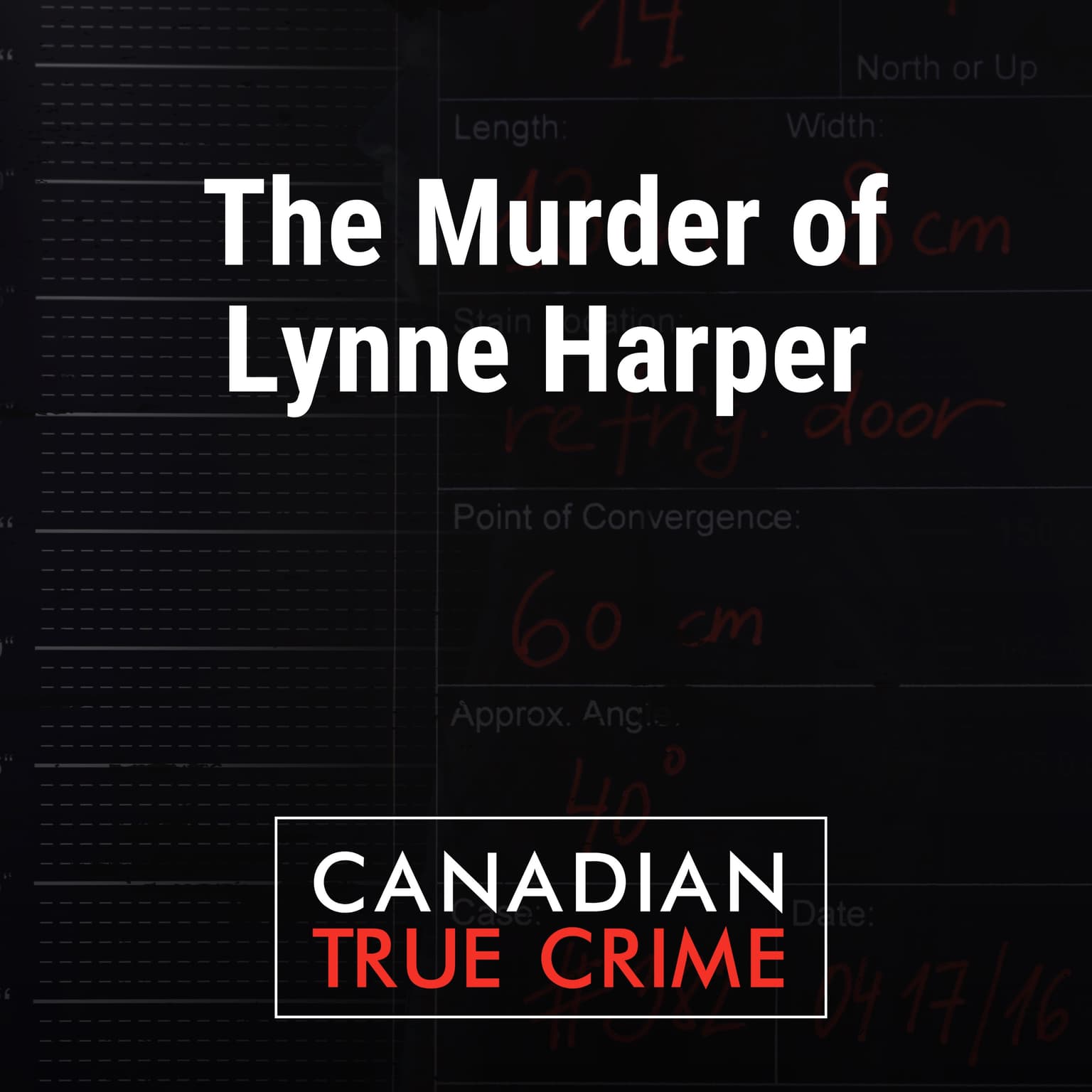 The Murder of Lynne Harper artwork