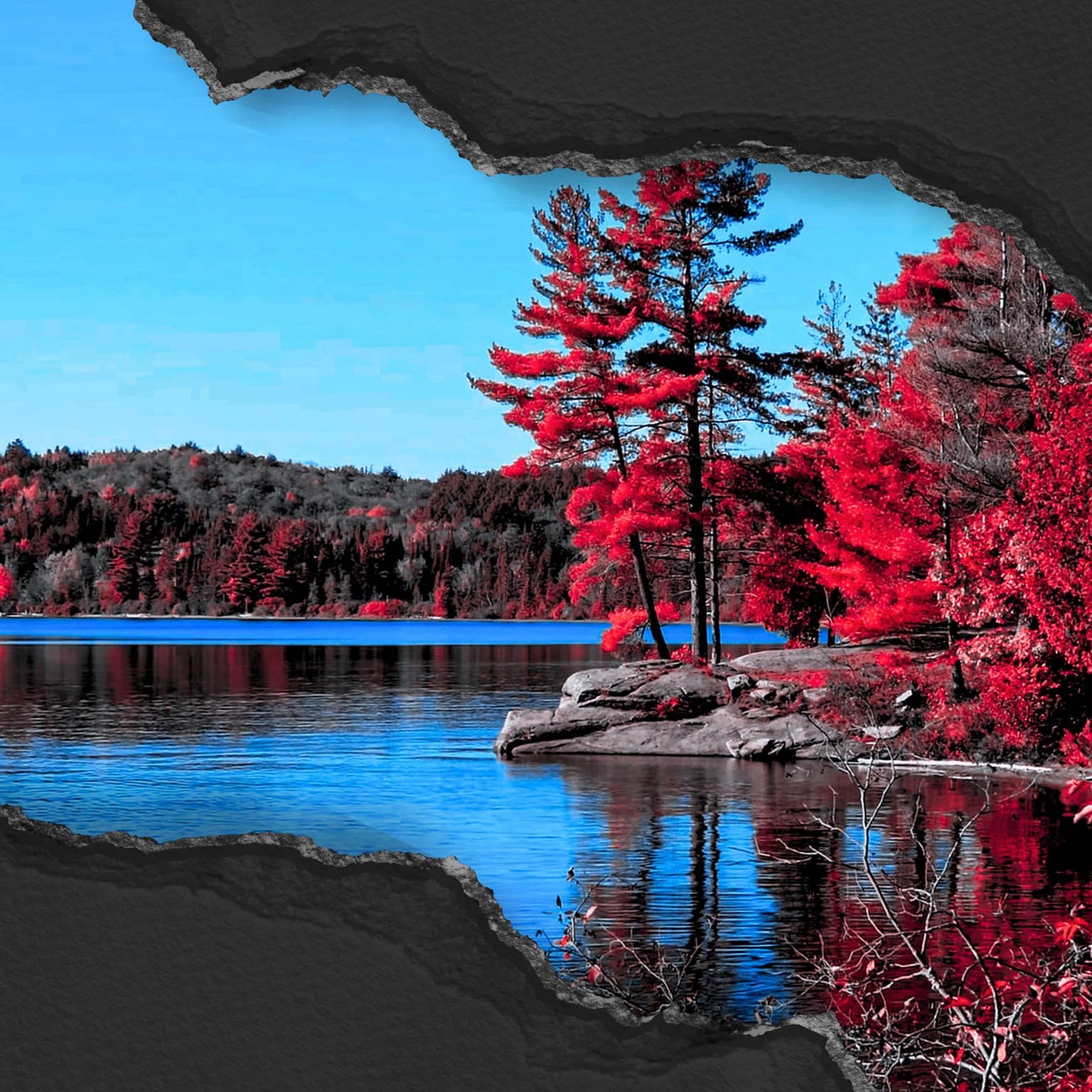 The Renfrew County Massacre artwork