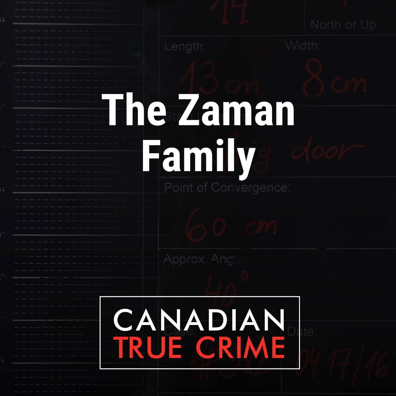The Zaman Family artwork