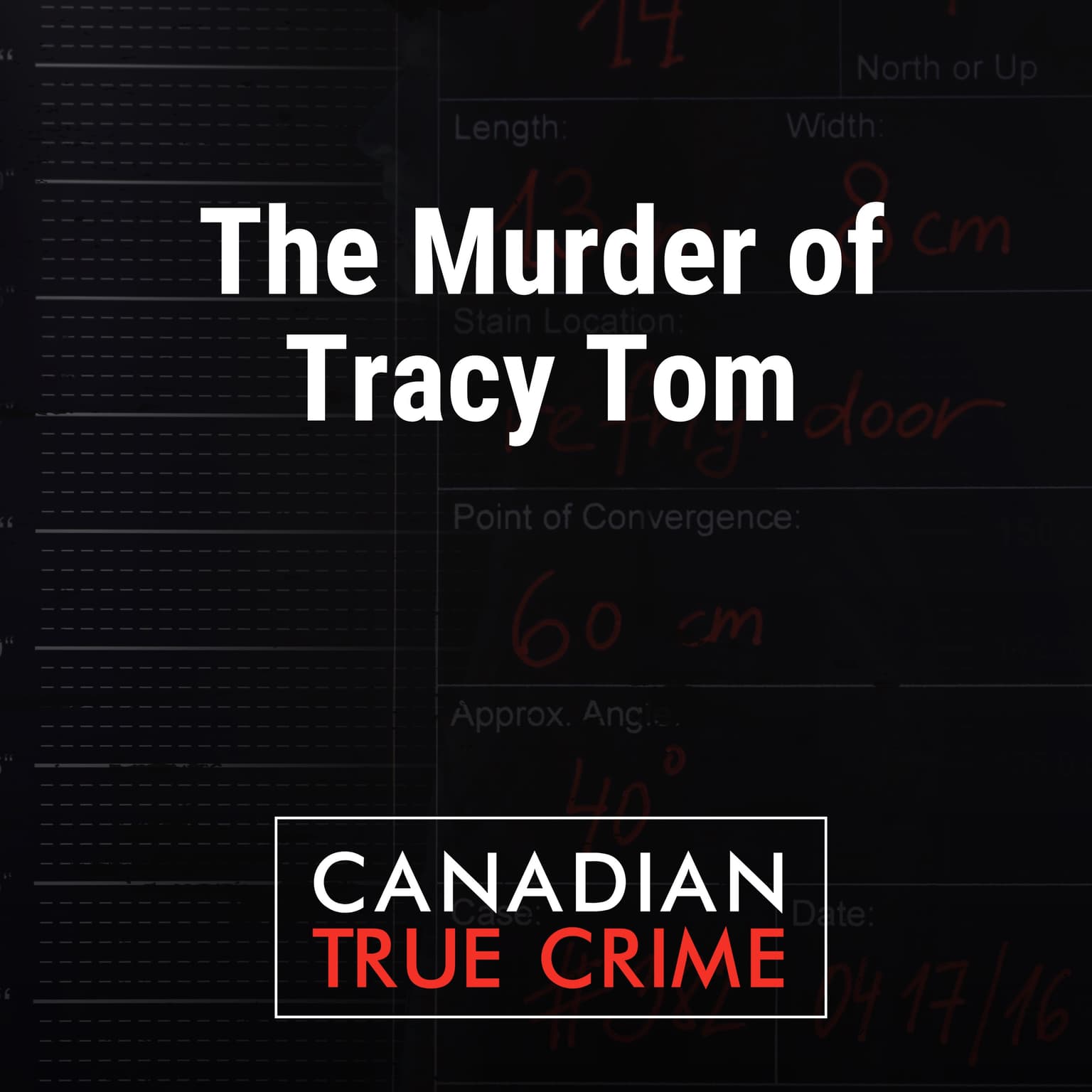 The Murder of Tracy Tom artwork