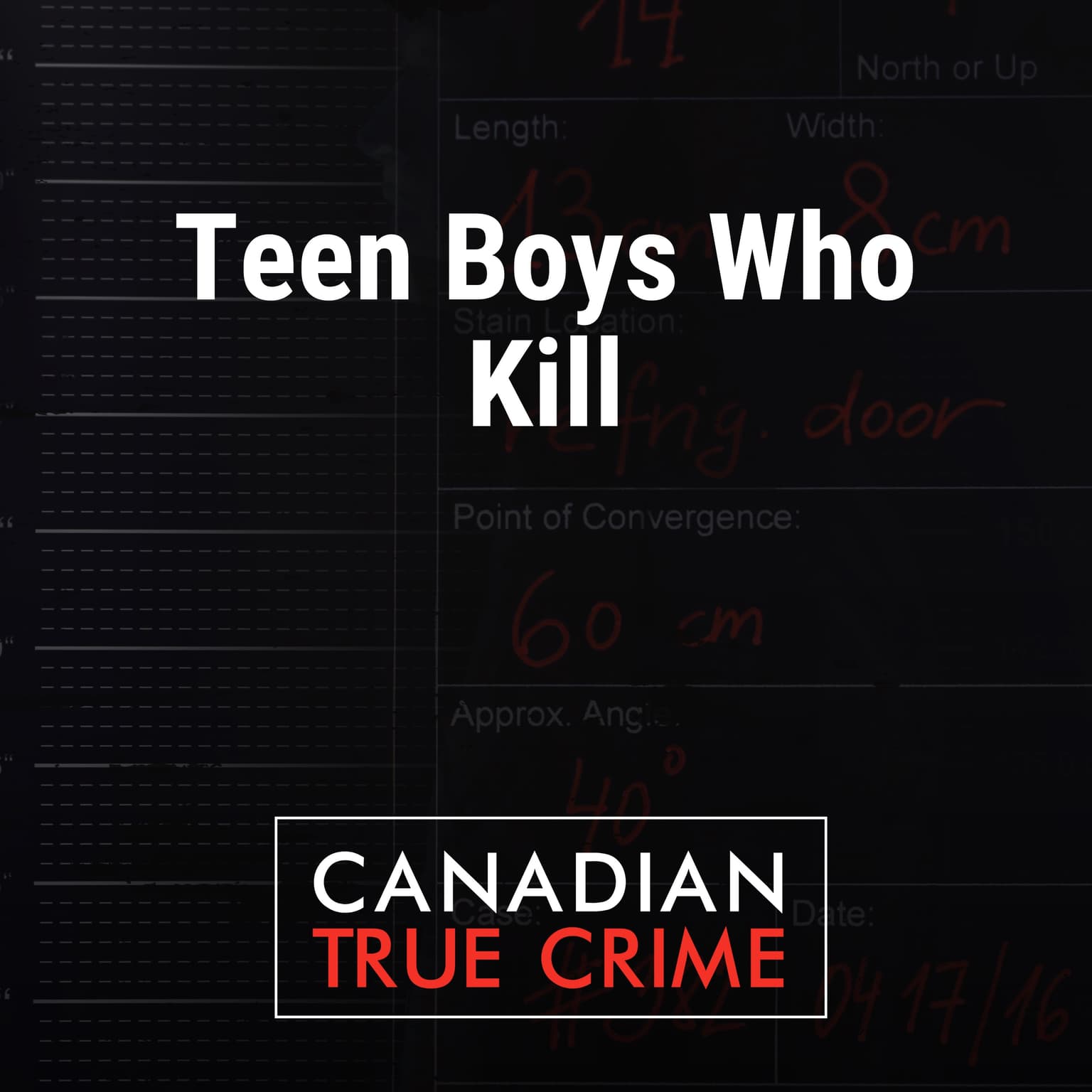 Teen Boys Who Kill artwork