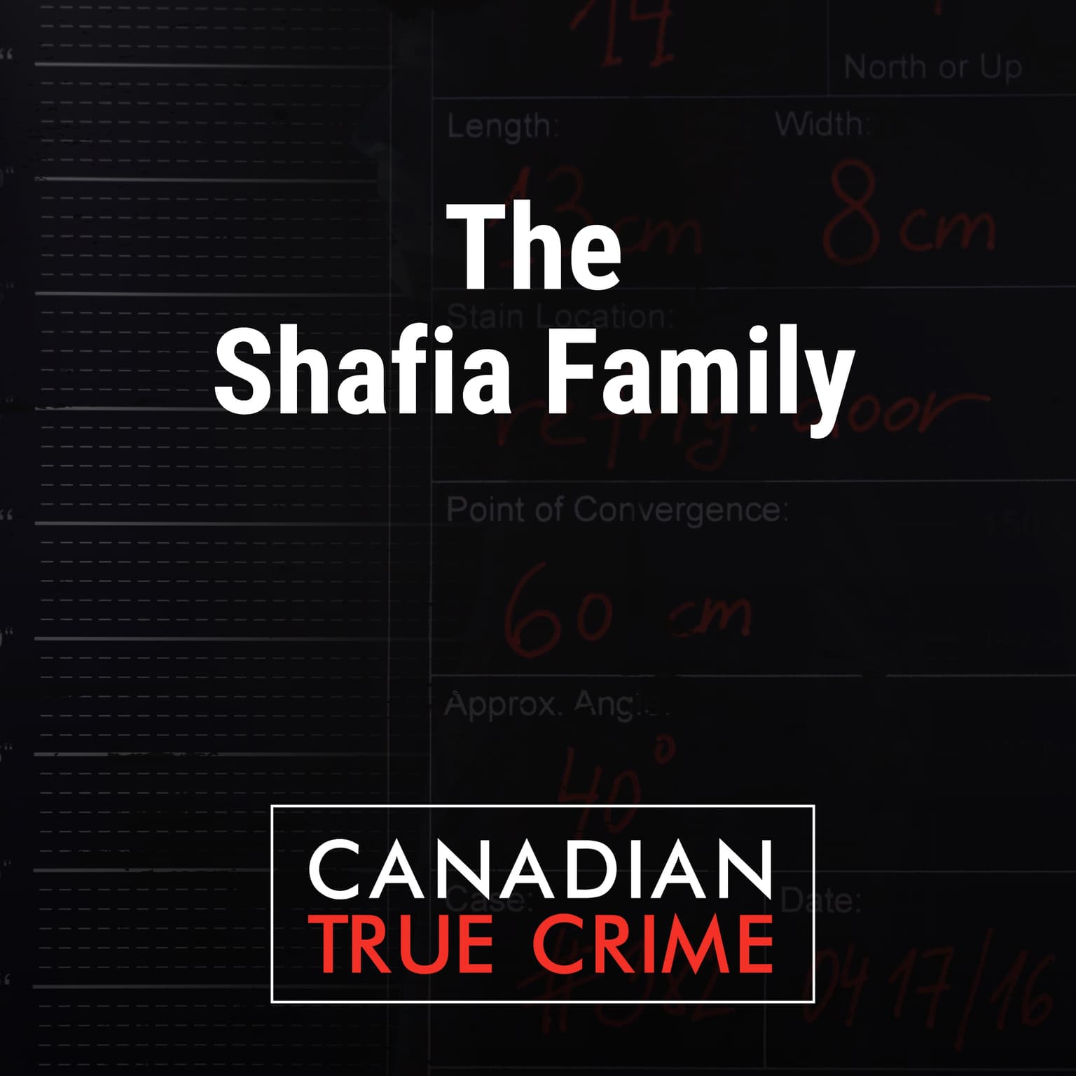The Shafia Family artwork