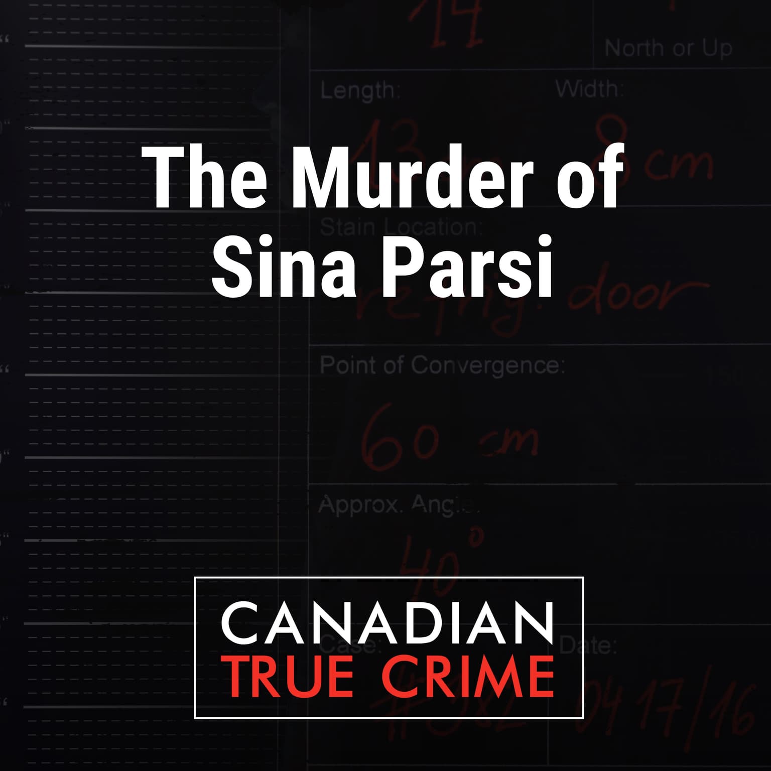 The Murder of Sina Parsi artwork