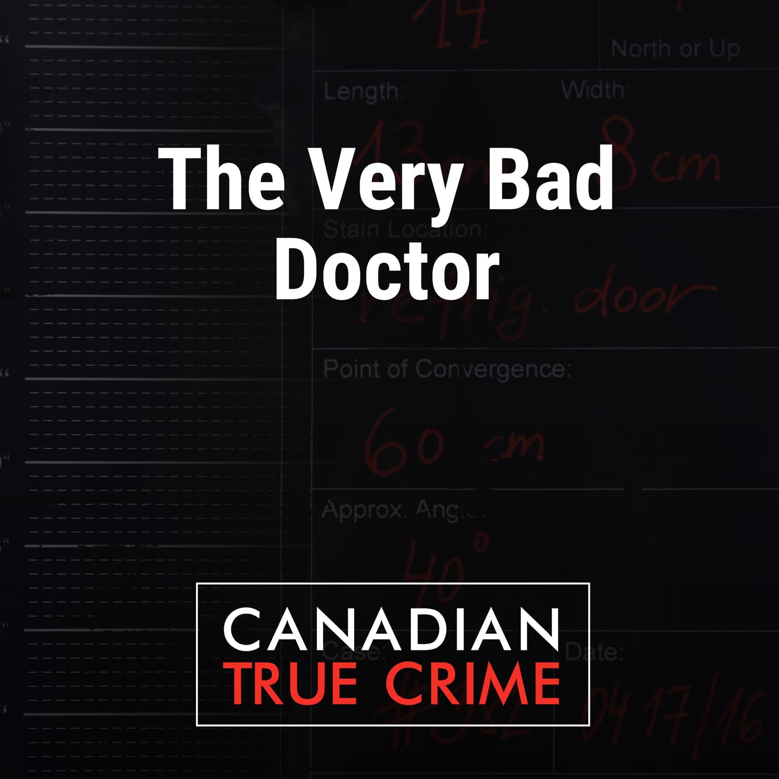 The Very Bad Doctor artwork
