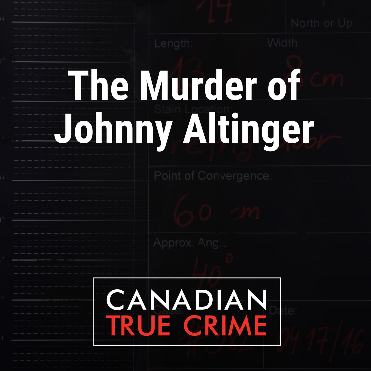 The Murder of Johnny Altinger artwork