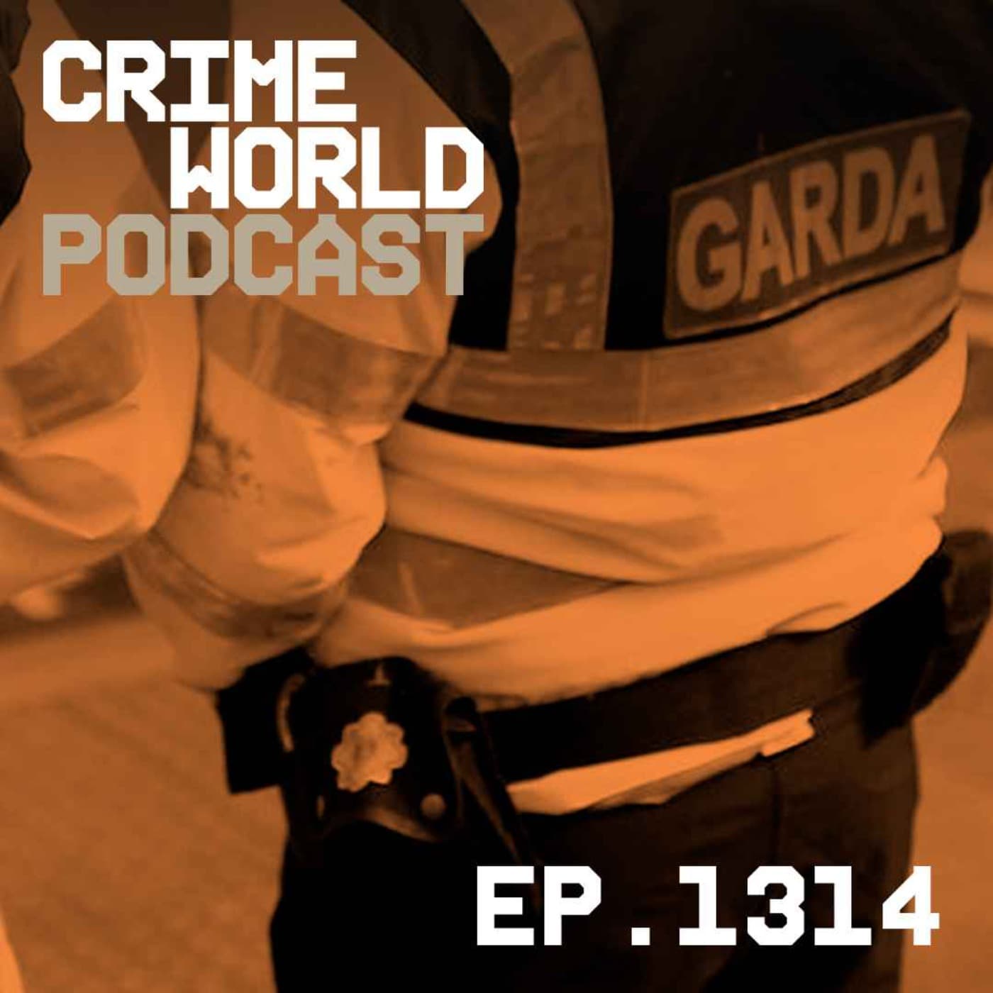 Gardai step up patrols in Rathkeale as feud tension mount in the town artwork