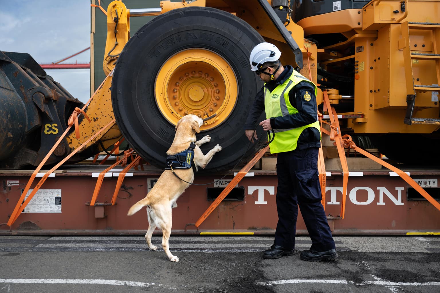 Inside the battle to keep cocaine out of Australia artwork