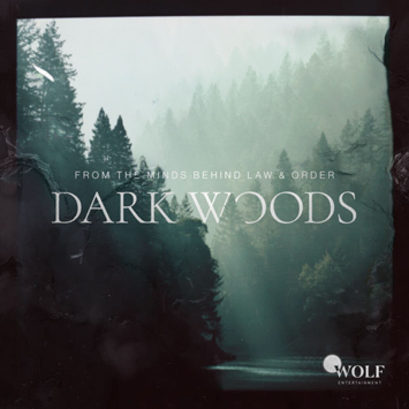 INTRODUCING: Dark Woods artwork