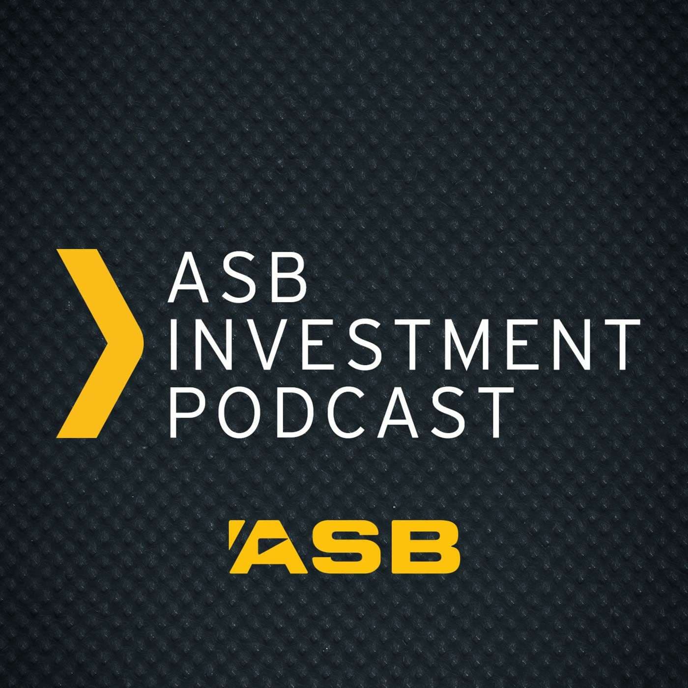 Episode 22 - Alert Level Two, the Reserve Bank and Budget 2020. artwork