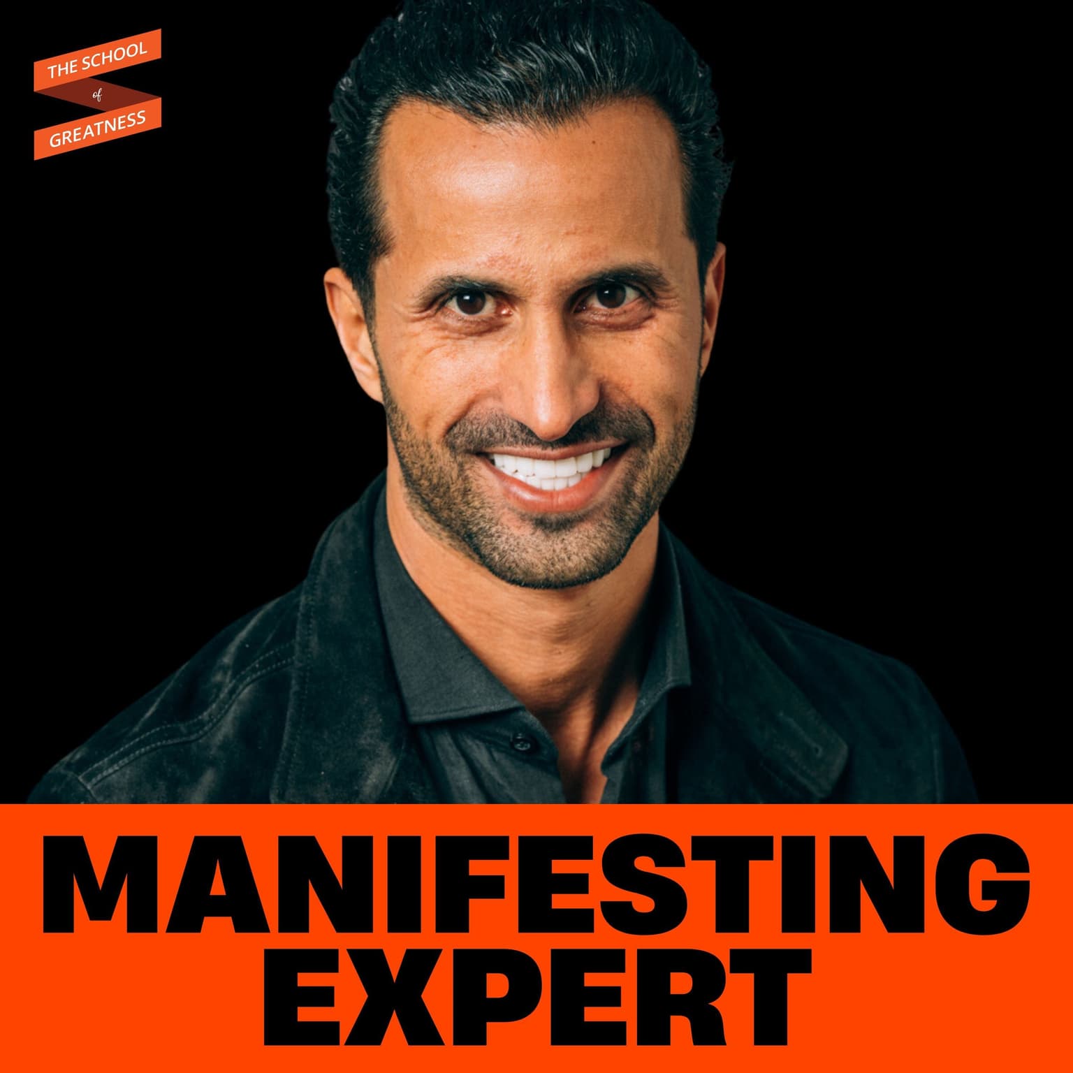 How To Manifest ABUNDANCE With The Universal Laws For WEALTH | David Ghiyam artwork