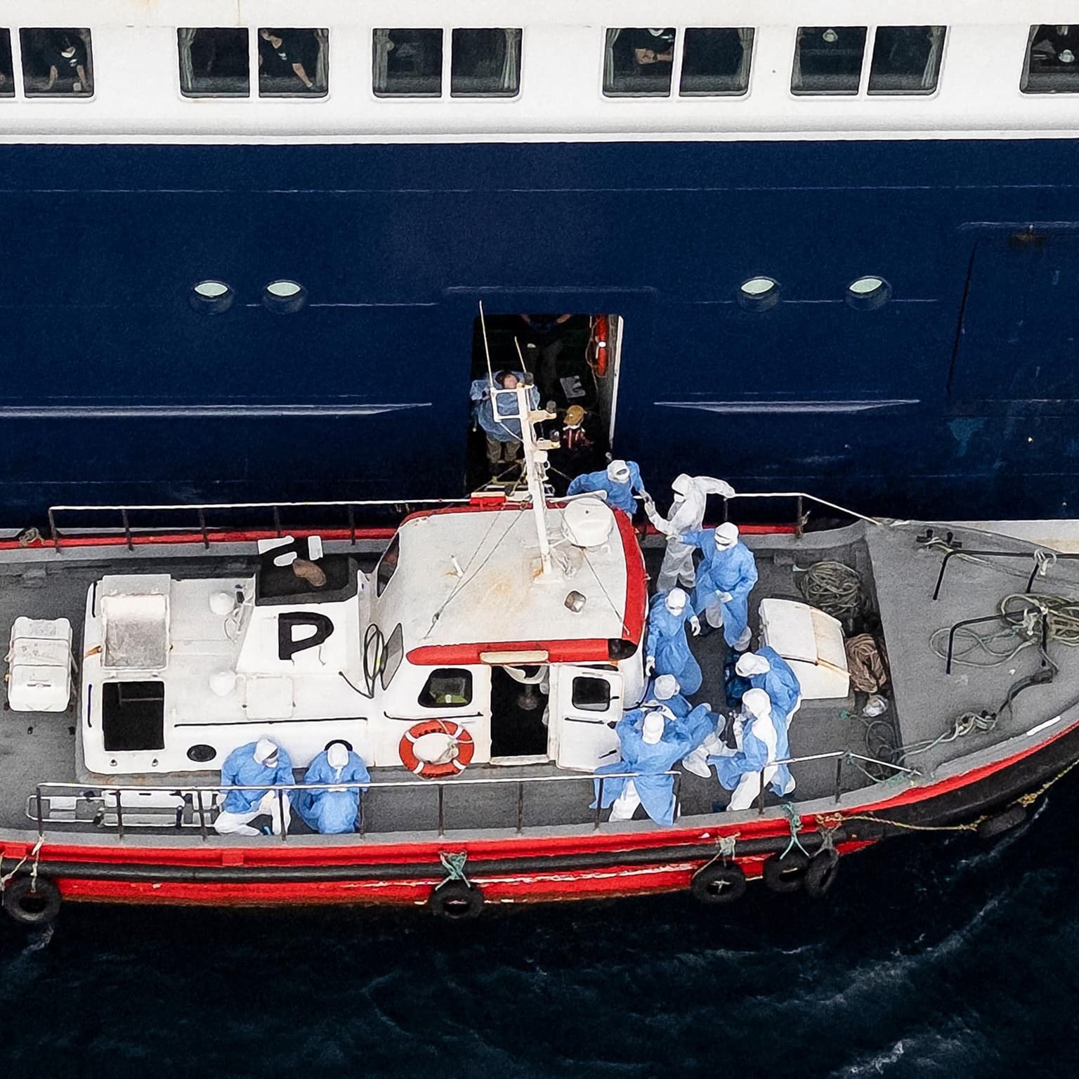 Hantavirus hell: deadly virus takes hold of cruise ship – The Latest artwork