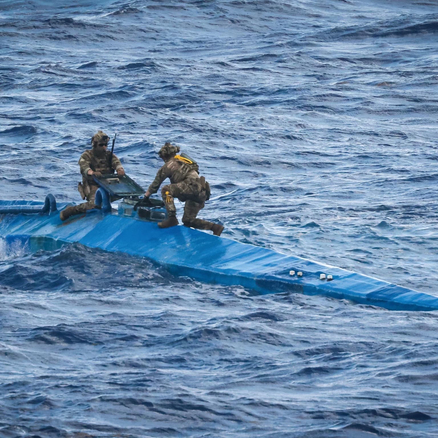 The rise of the cocaine submarine artwork