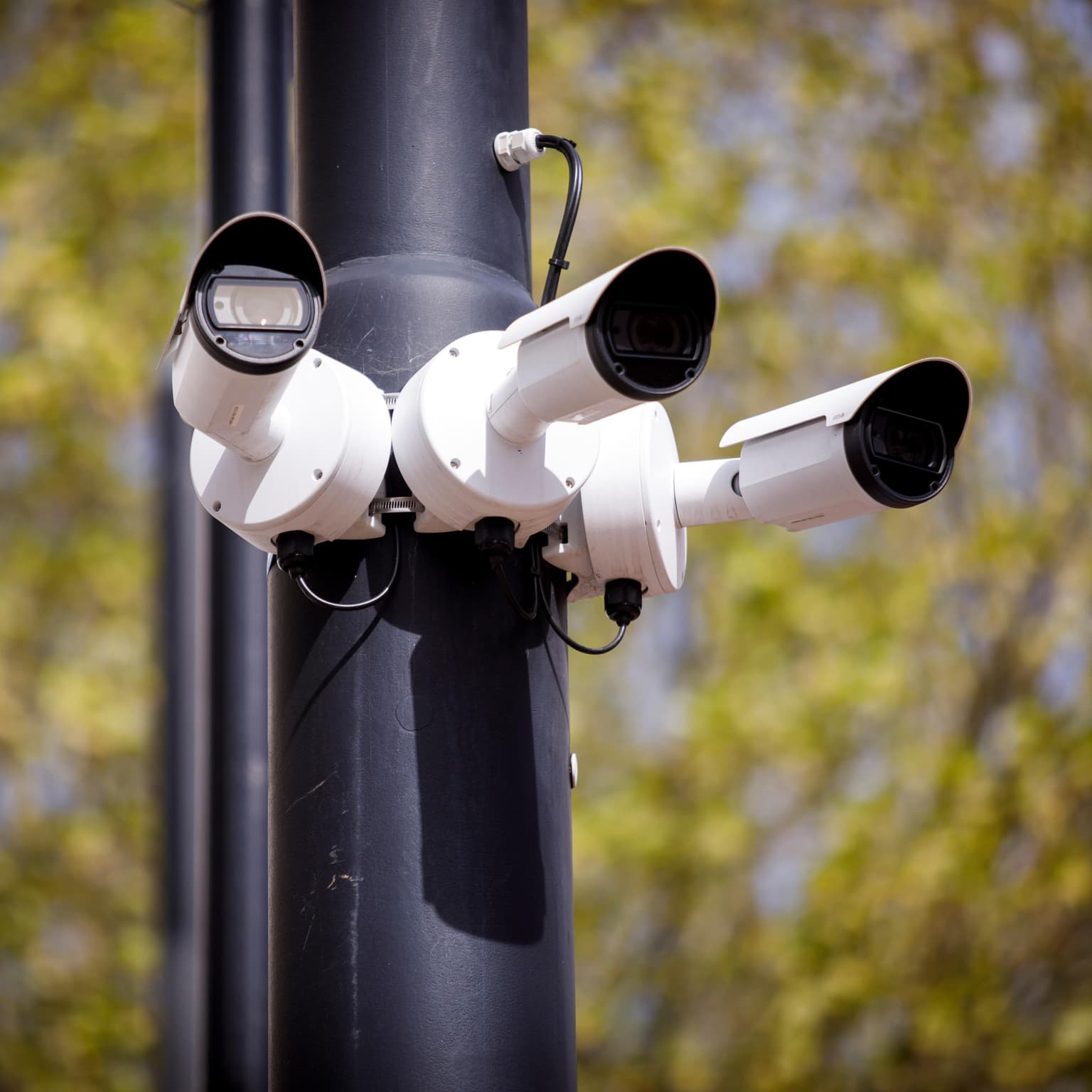 Is Big Brother watching you shop? artwork