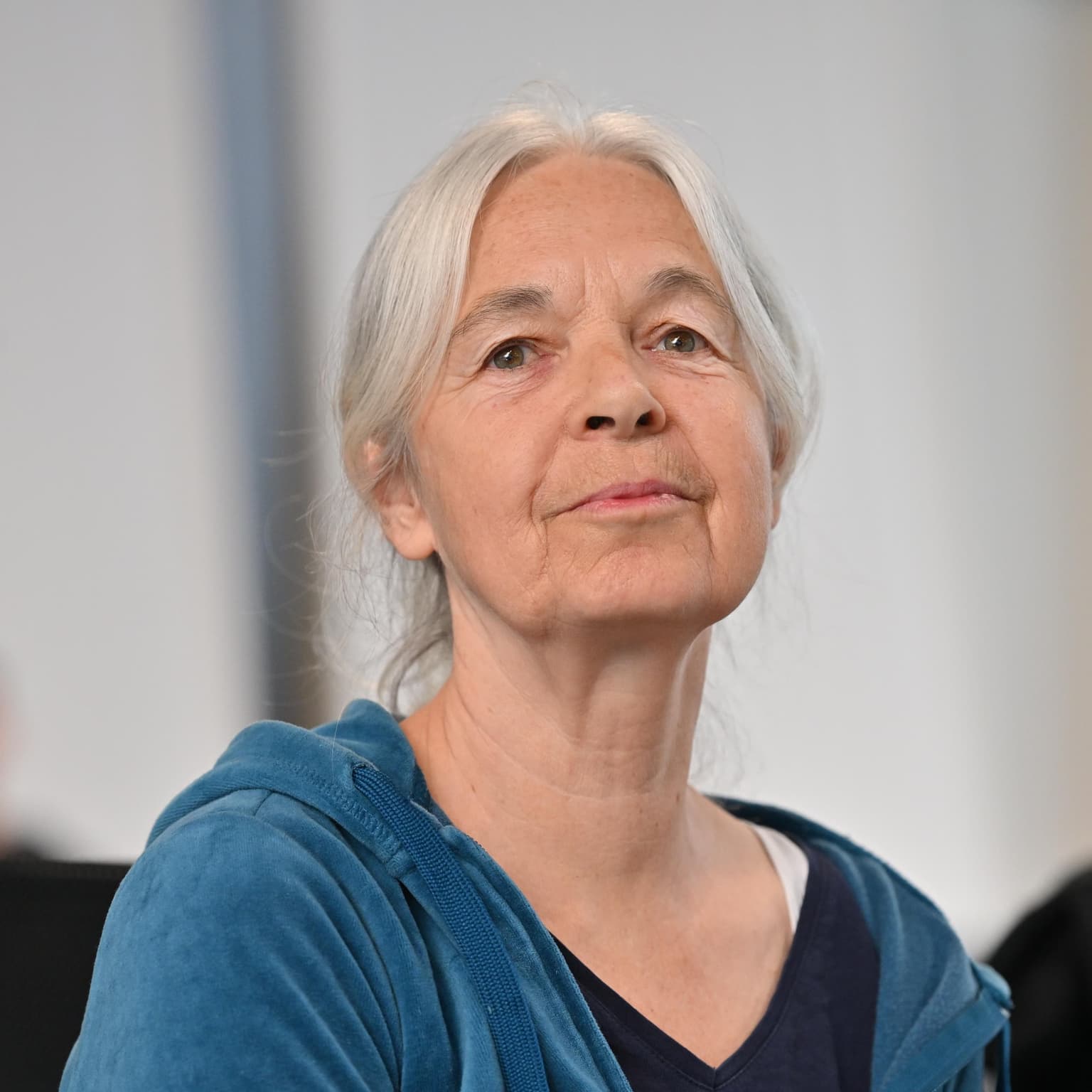 The jailing of Germany’s most wanted woman artwork