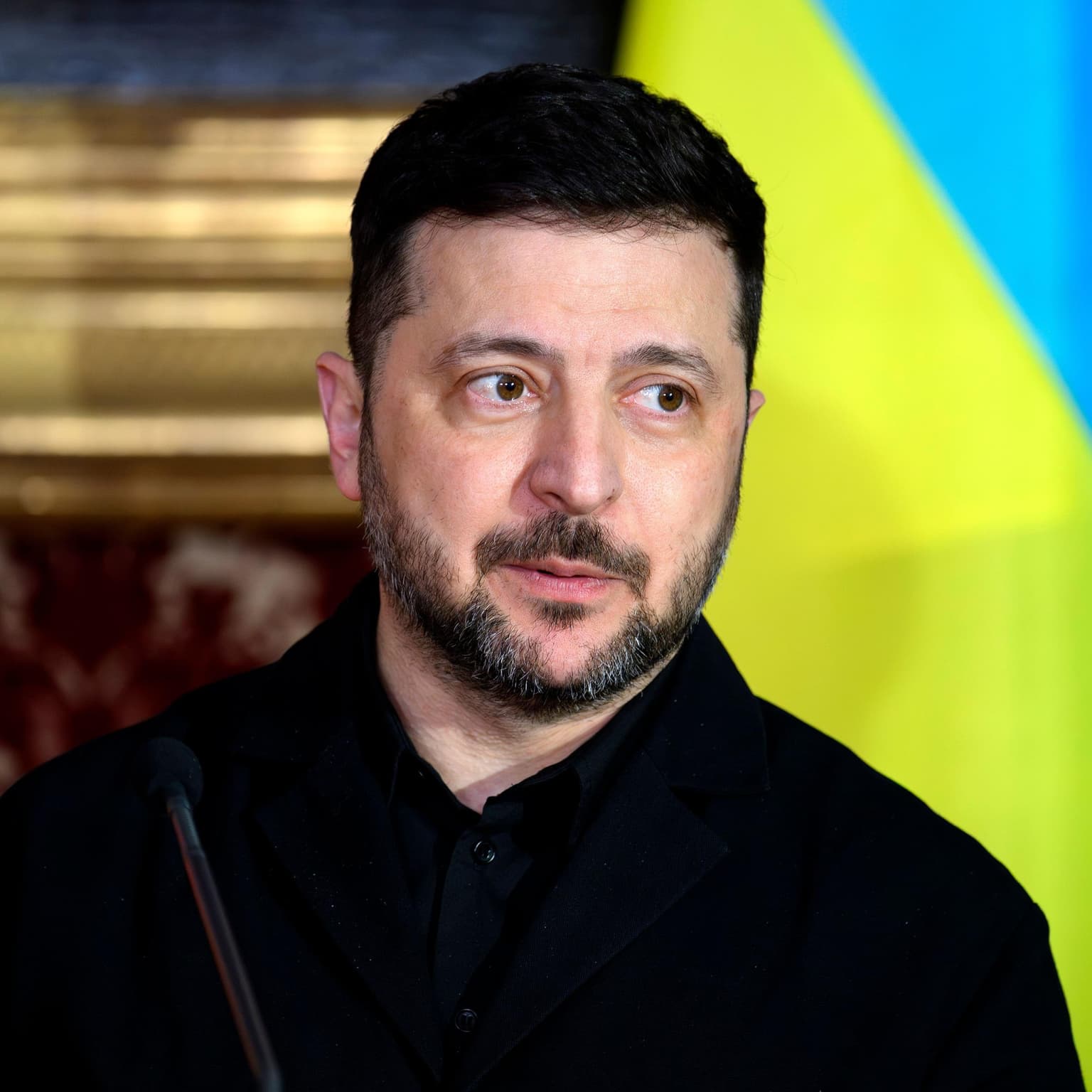 Zelenskyy accuses Trump of ‘unfair’ approach in Ukraine-Russia talks – The Latest artwork