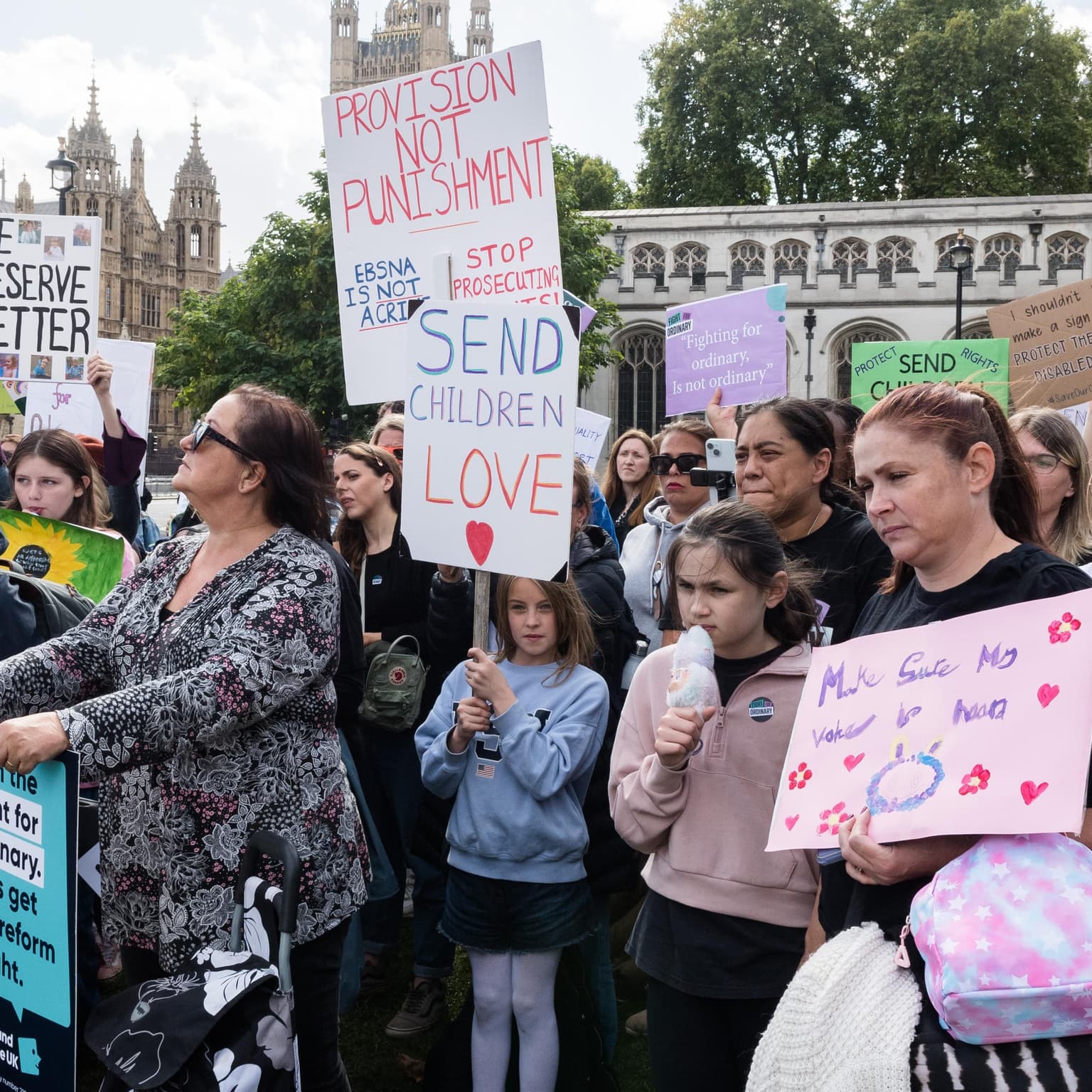 ‘They’re not listening!’: the government’s gamble on special education reform artwork