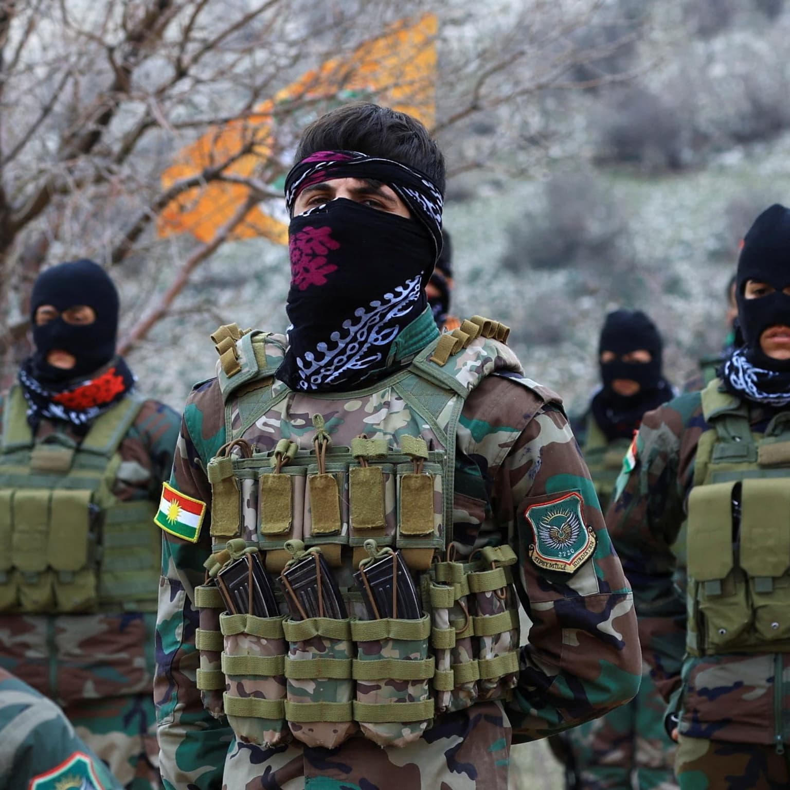 Why does Trump want Kurdish fighters to join the war in Iran? – The Latest artwork
