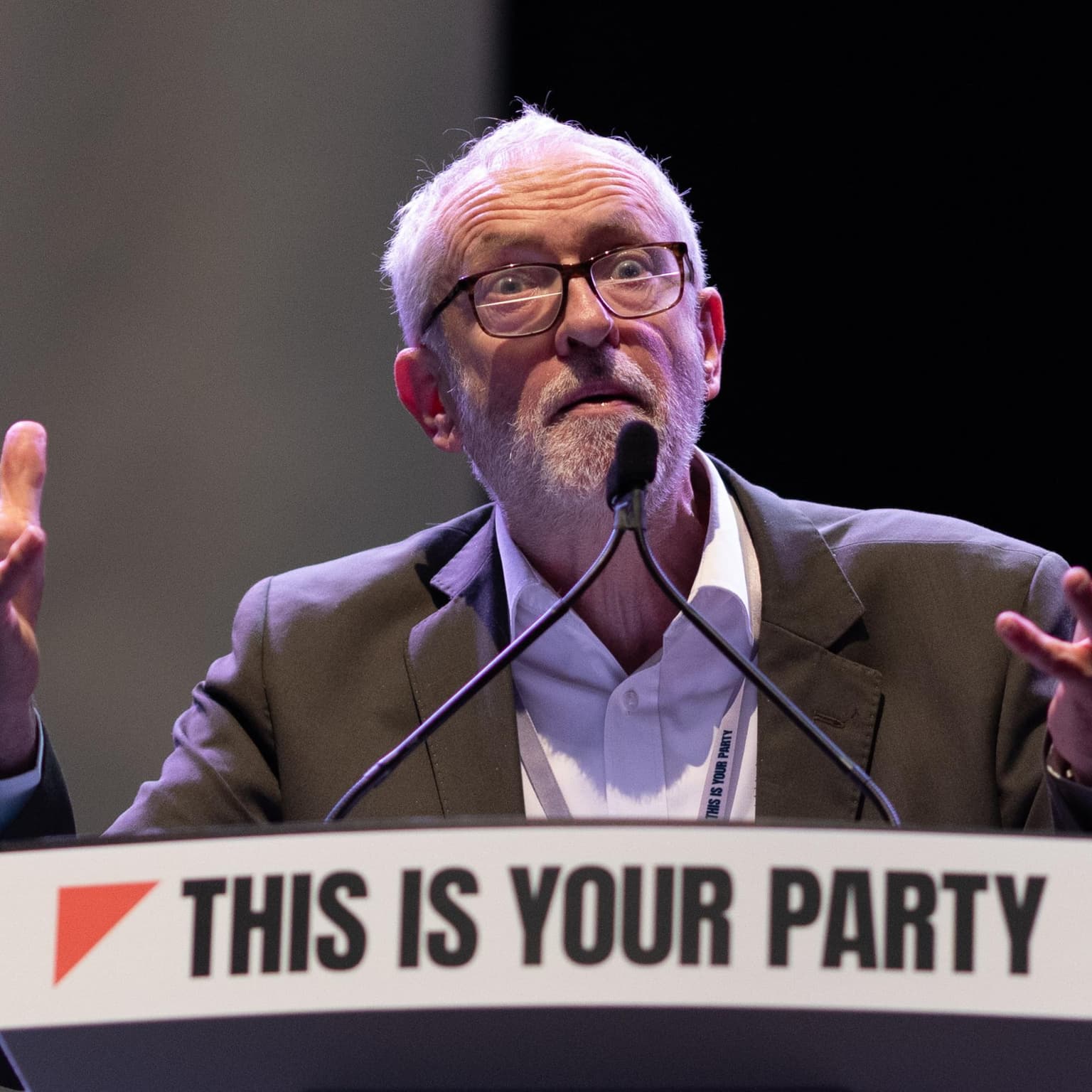 Your Party: leaderless or just hopeless? artwork