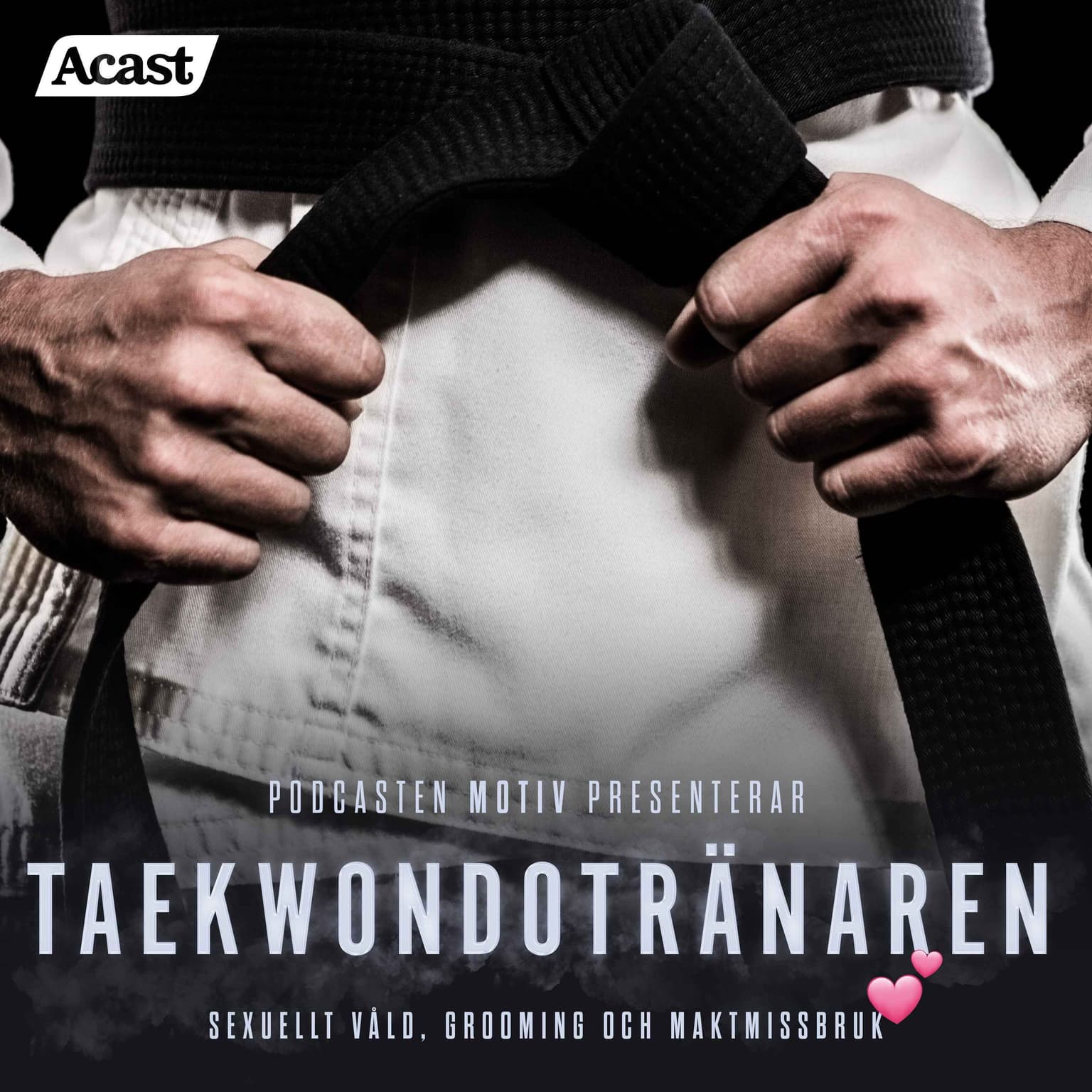 Taekwondotränaren - Del 2/5 "Resorna" artwork