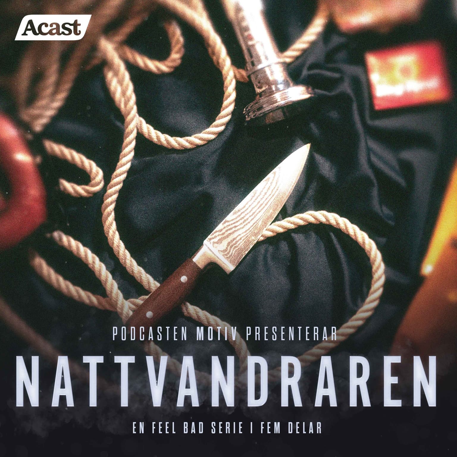 Nattvandraren - Del 2/5 "Misstänkt och utpekad" artwork