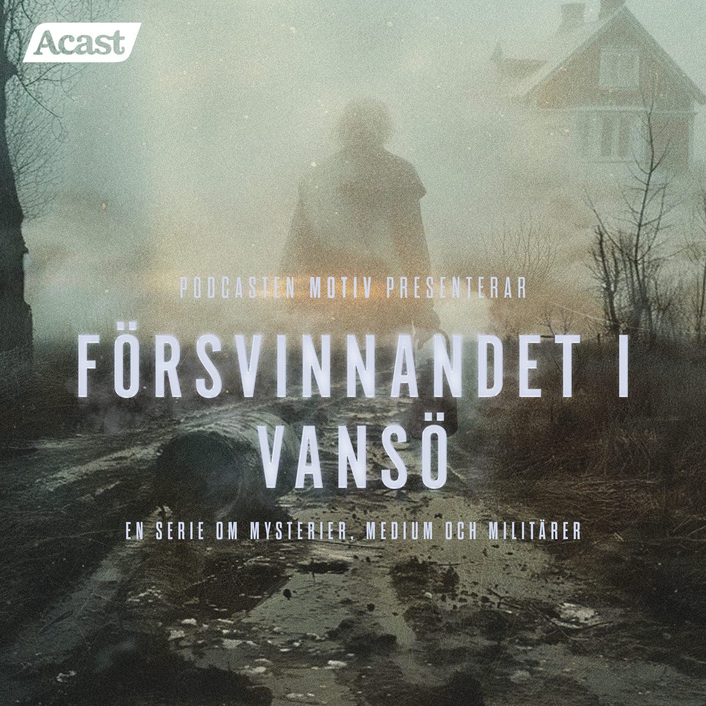 Teaser - Försvinnandet i Vansö artwork